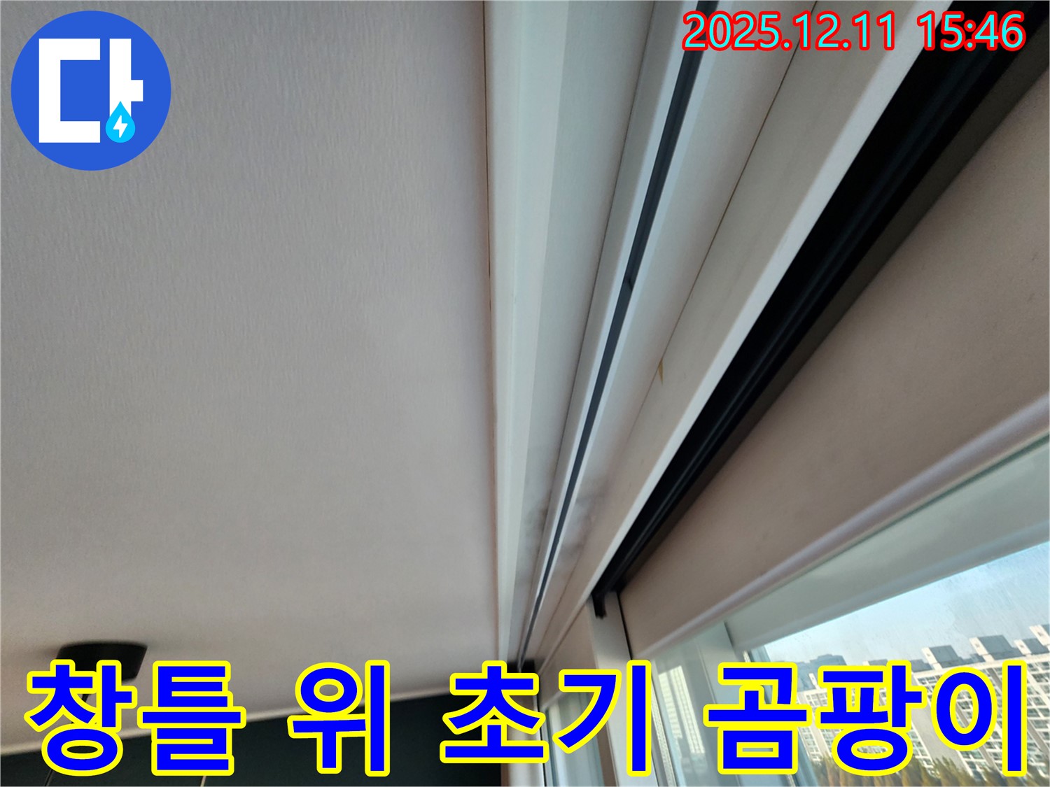 포천 영중면 양지말 창틀 위 아주 초기 곰팡이 - 완벽 해결을 약속드립니다