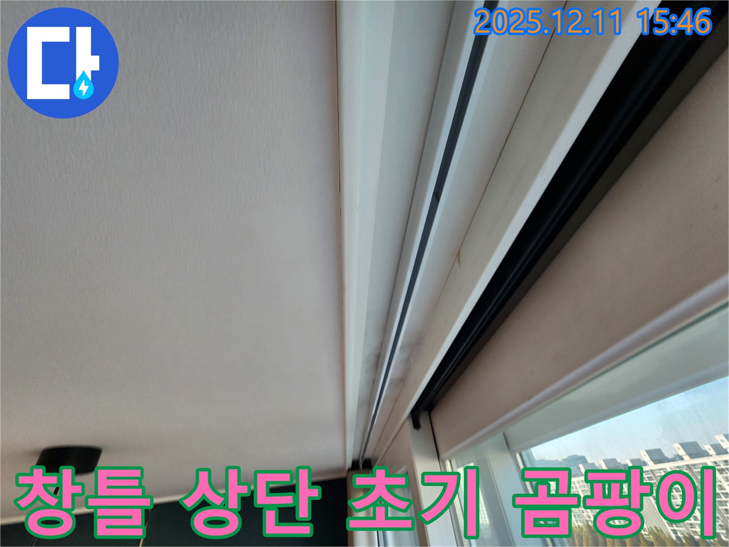 포천시 영중면 남궁리 창틀 상단 초기 곰팡이 - 초기 발견의 중요성