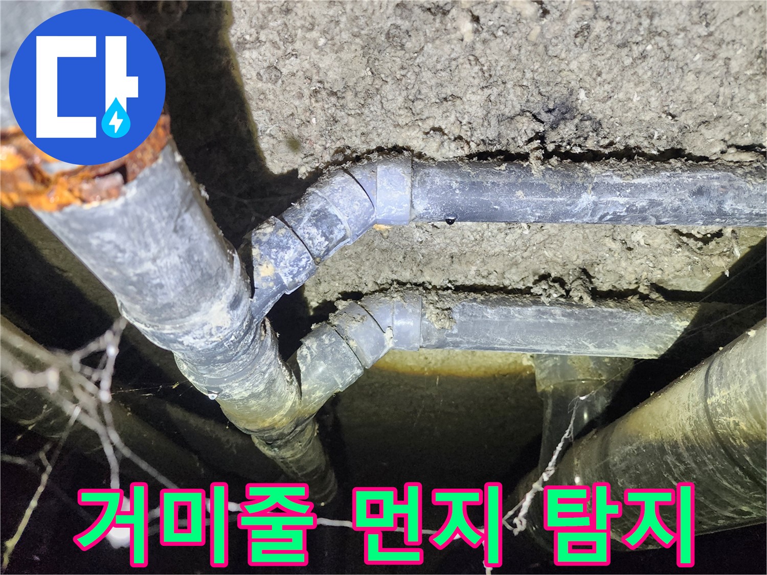 성북구 보문동 아남아파트 지하실 천장 배관-거미줄과 먼지 속 누수 탐지