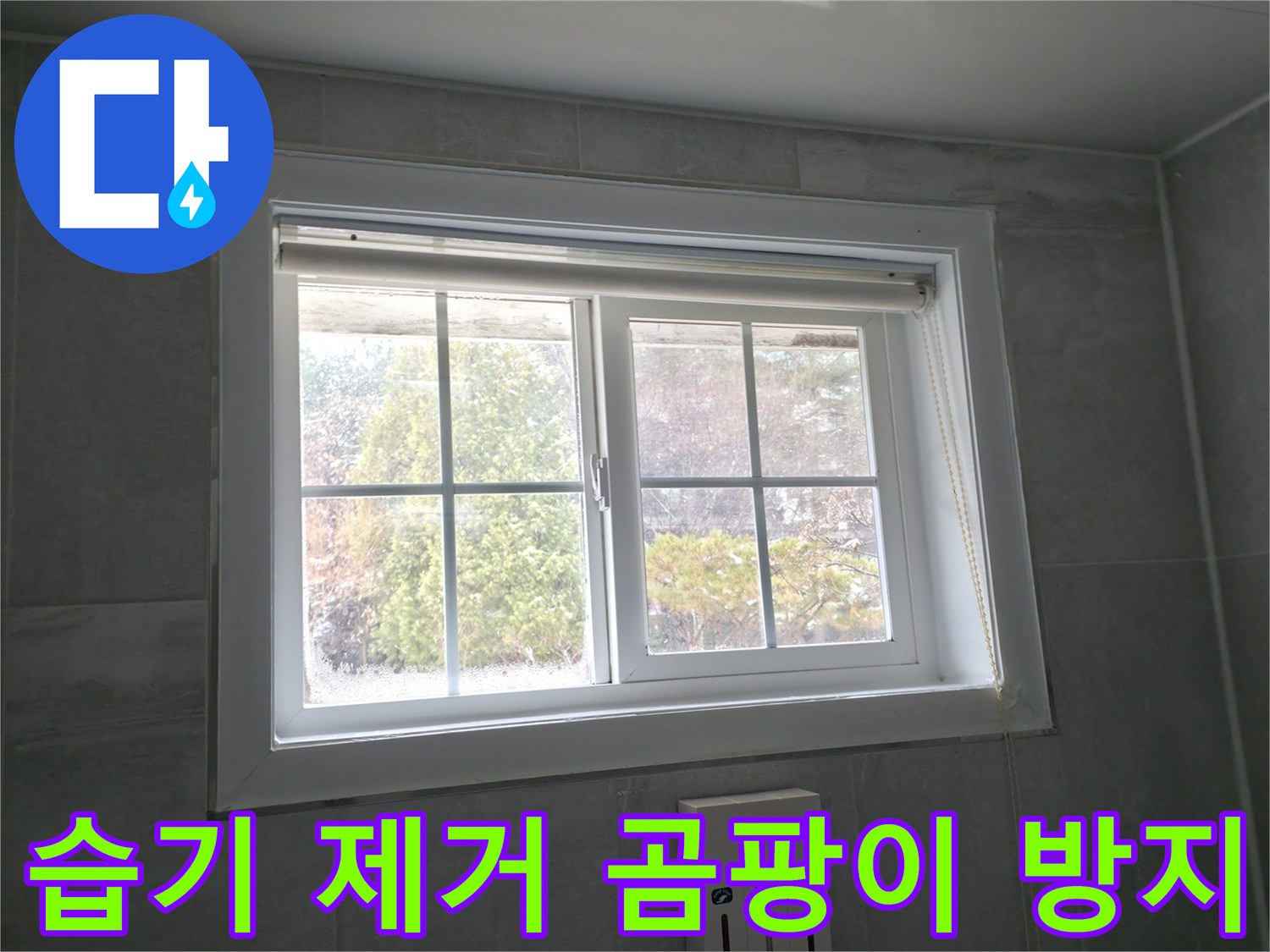홍천 서면 팔봉강변길 욕실 창문 - 습기 제거 및 곰팡이 방지 꿀팁 공유