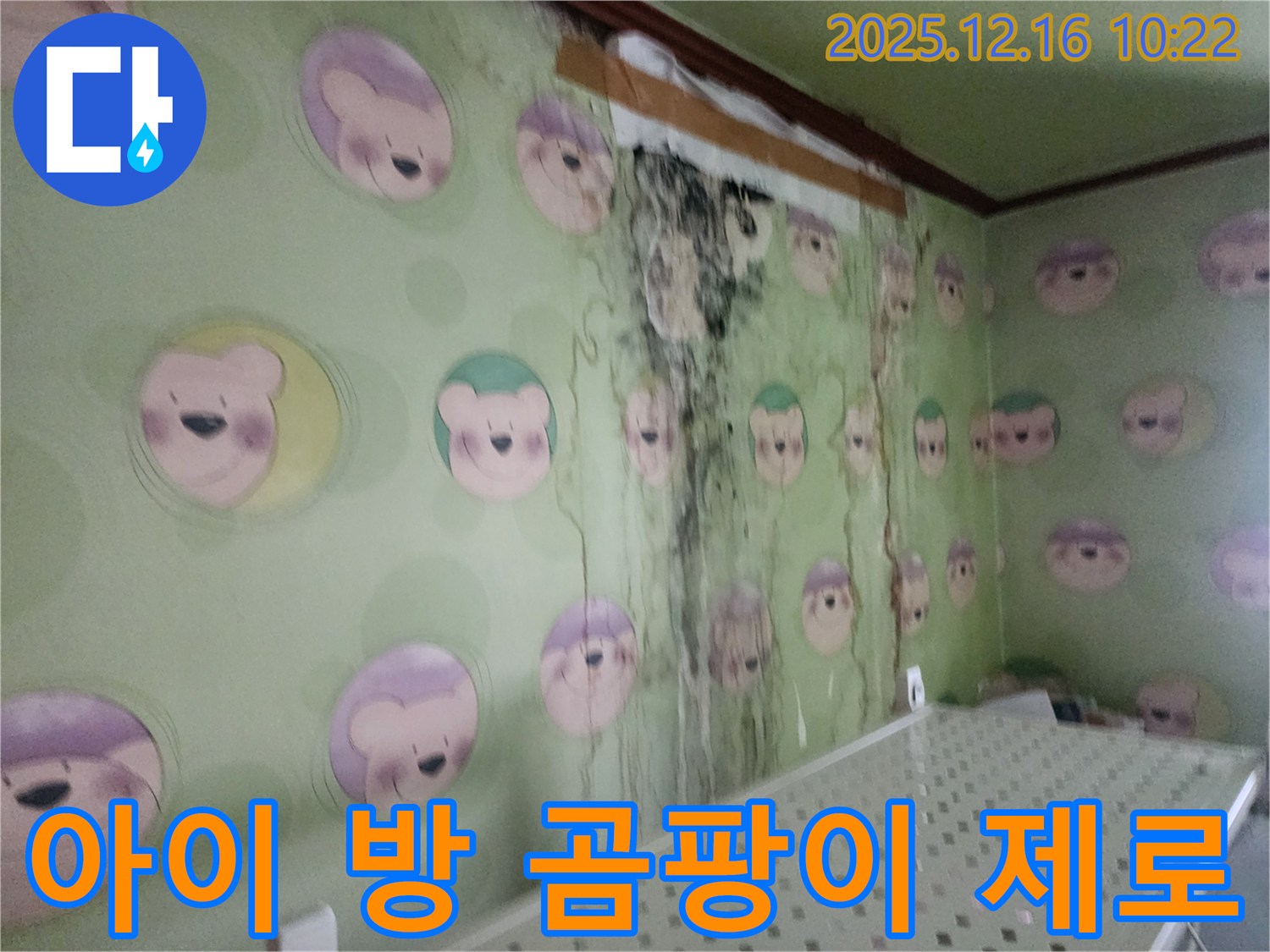 경기도 포천시 영북면 운천2리 아이 방 벽면의 곰팡이 - 곰팡이 제로 챌린지, 쾌적한 공간으로 변신