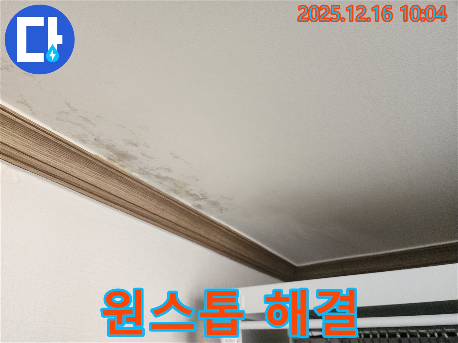 운천리 곰팡이 천장 - 원인 진단부터 완벽 시공까지 원스톱 해결! - 누수 전문가