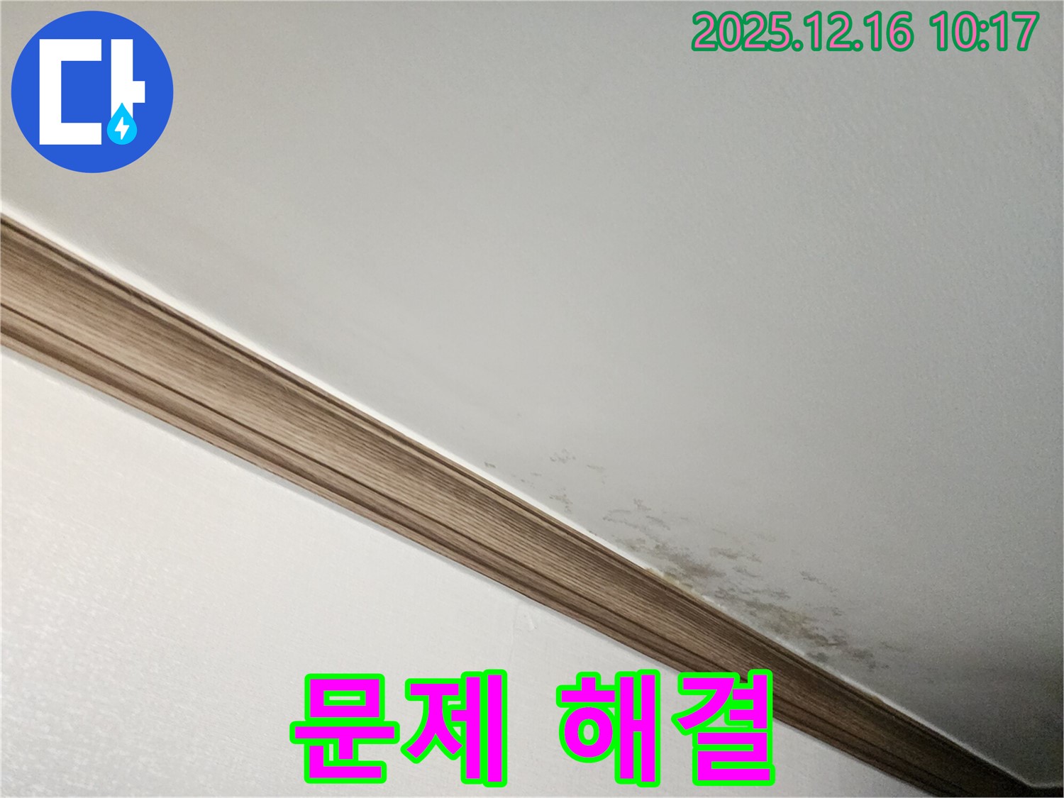 포천 곰팡이 천장 문제 - 누수 전문가의 해결 과정 및 고객 만족 후기