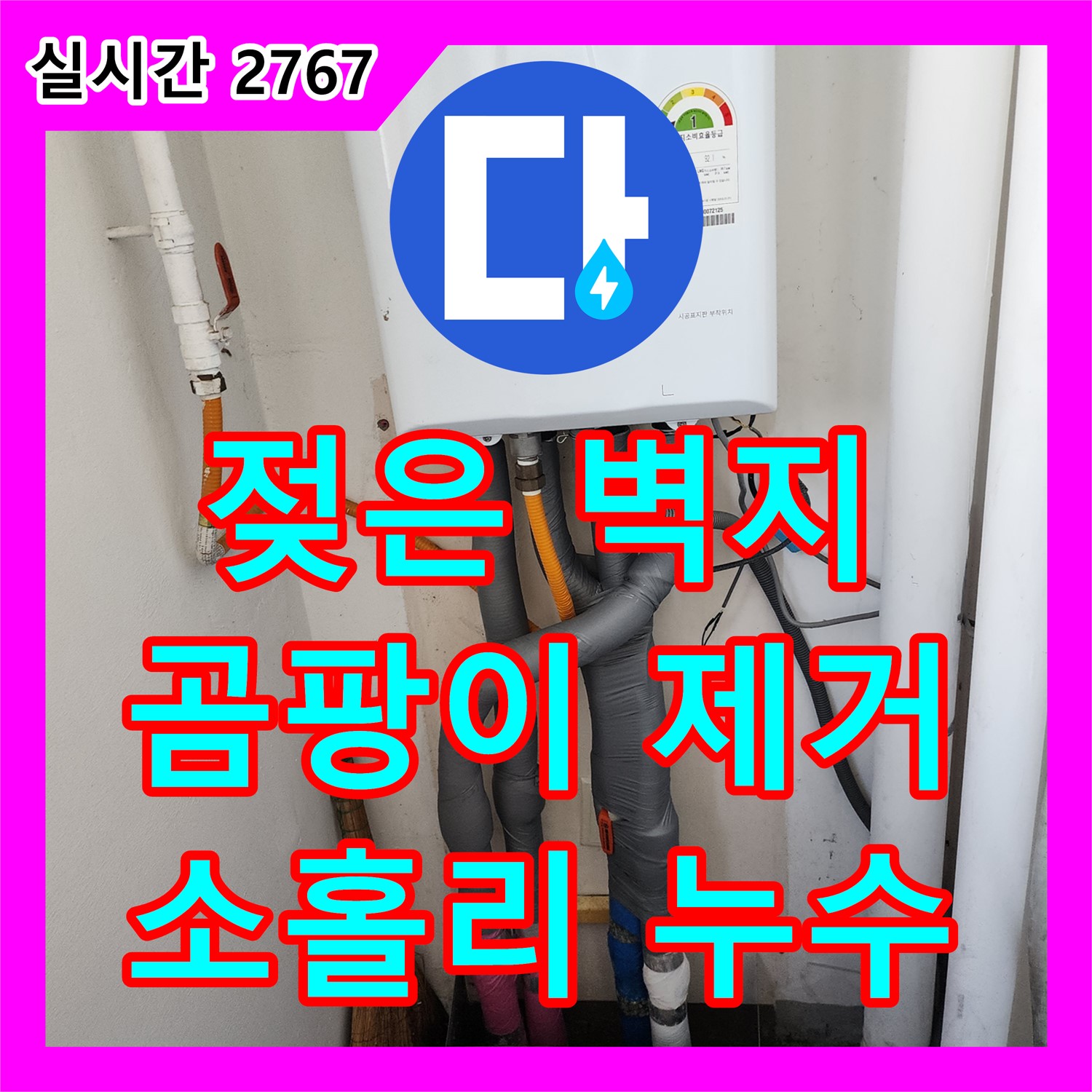 누수전문업체, 소홀리, 젖은 벽지, 곰팡이 제거와 누수 해결 한번에