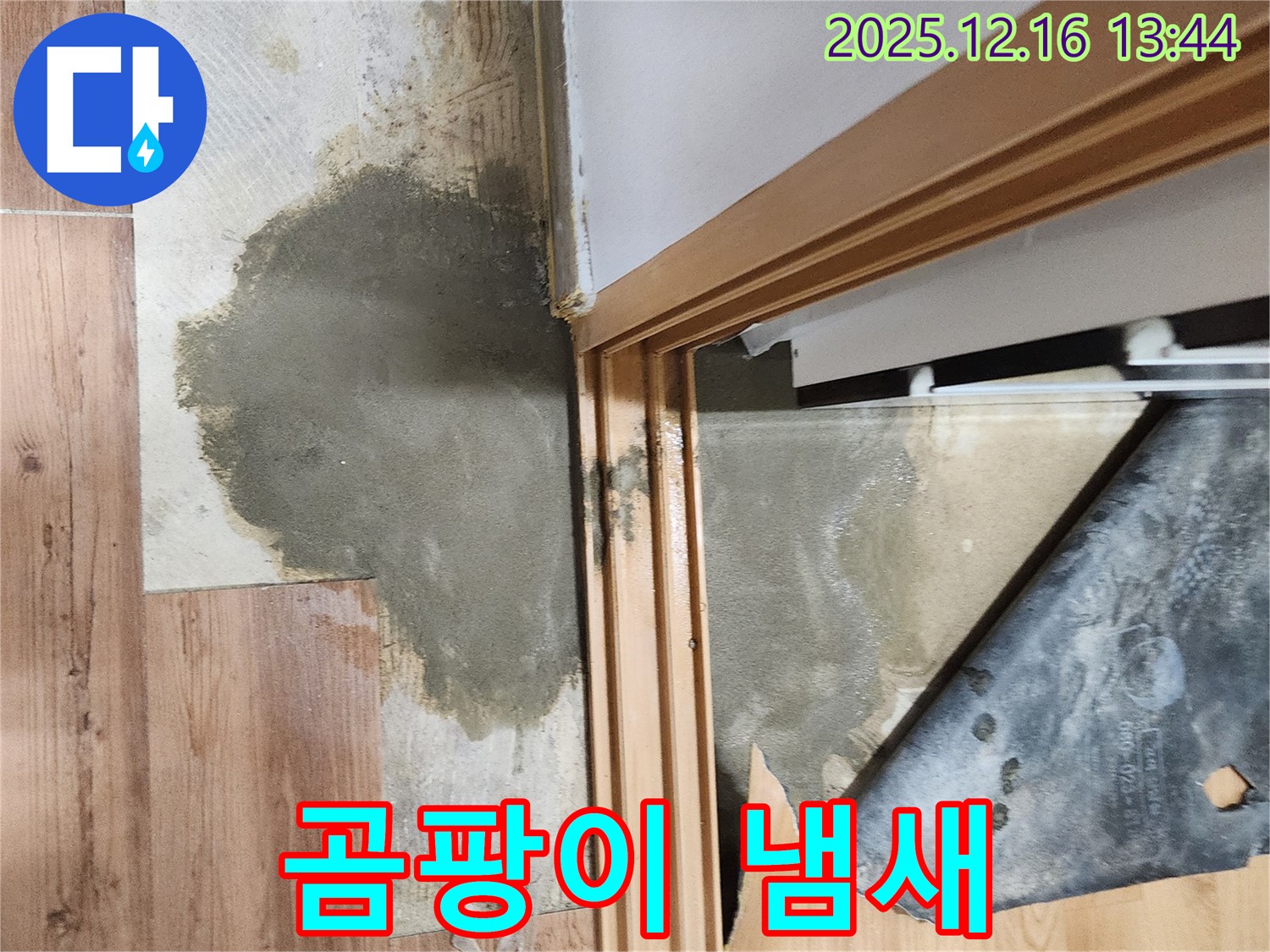 소홀리 누수 - 장판 곰팡이 냄새, 온 가족 호흡기 건강에 적신호