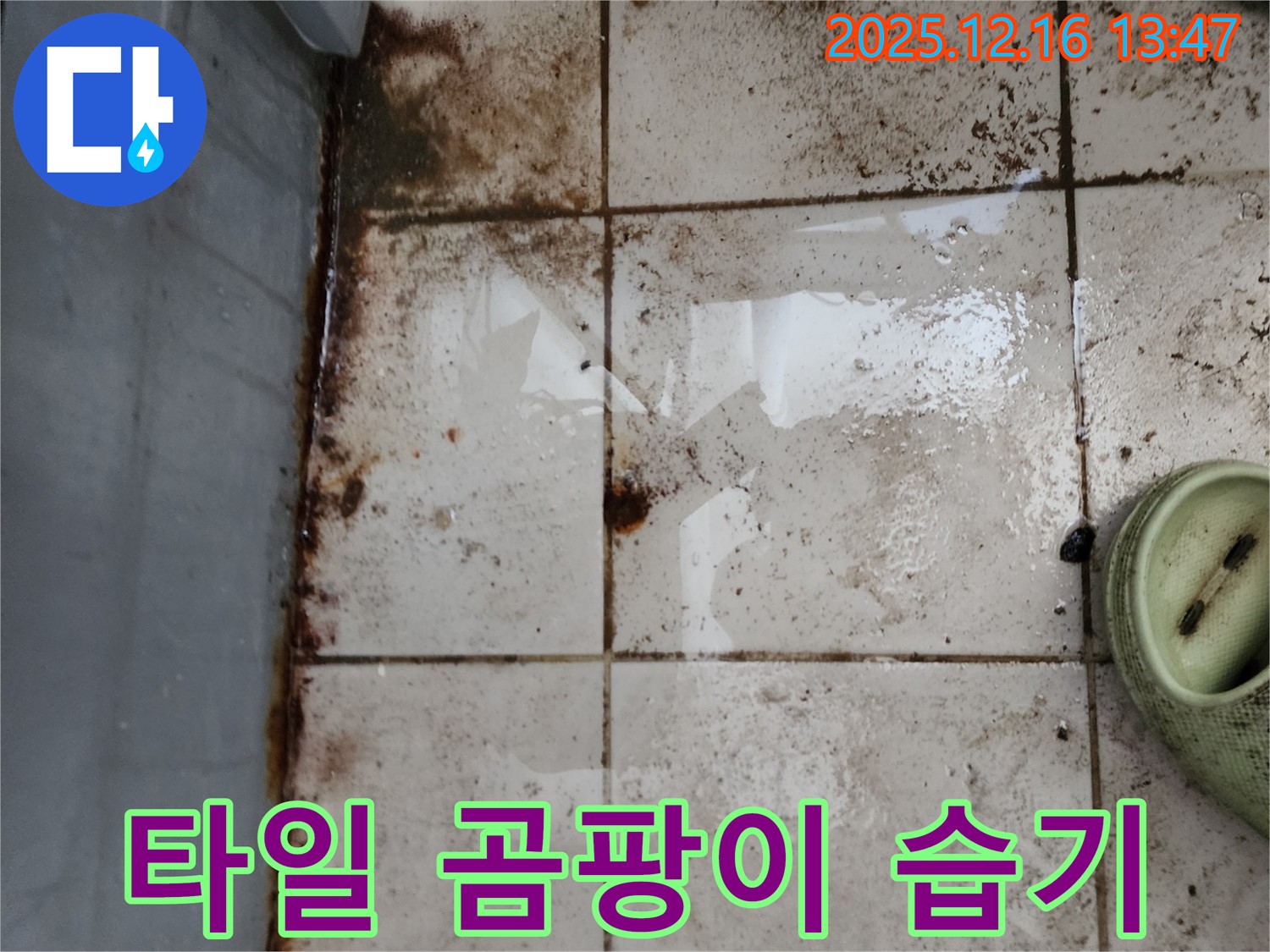 영북면 소홀리 누수 - 타일 주변 곰팡이와 습기의 원인이 누수인지 꼼꼼하게 진단하고 완벽하게 차단하는 모습입니다.