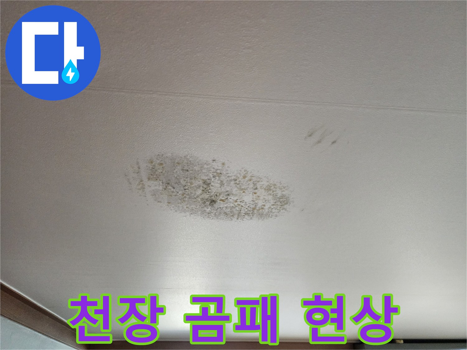 천장 벽지 표면에 나타난 검은색 곰팡이 얼룩