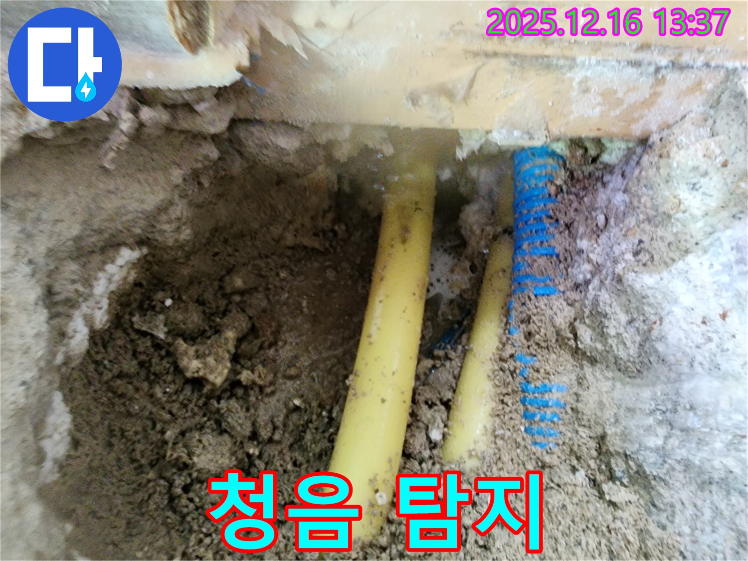 포천 영북면 소홀리 누수탐지 - 청음식 누수 탐지 장비를 사용하여 누수음을 듣고 누수 위치를 파악하는 모습입니다.