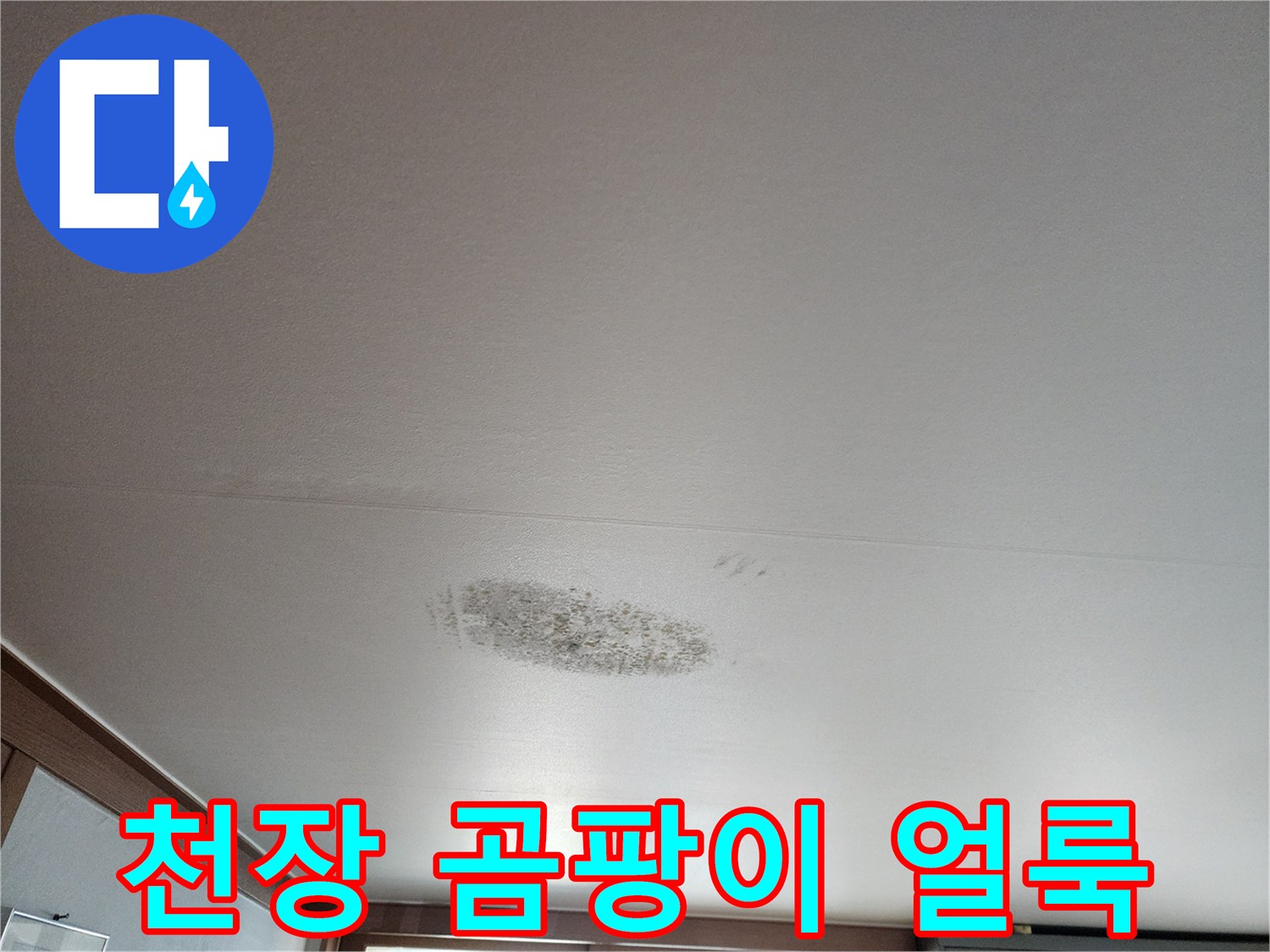 포천 영북면 현장-천장에 발생한 곰팡이와 물샘 흔적
