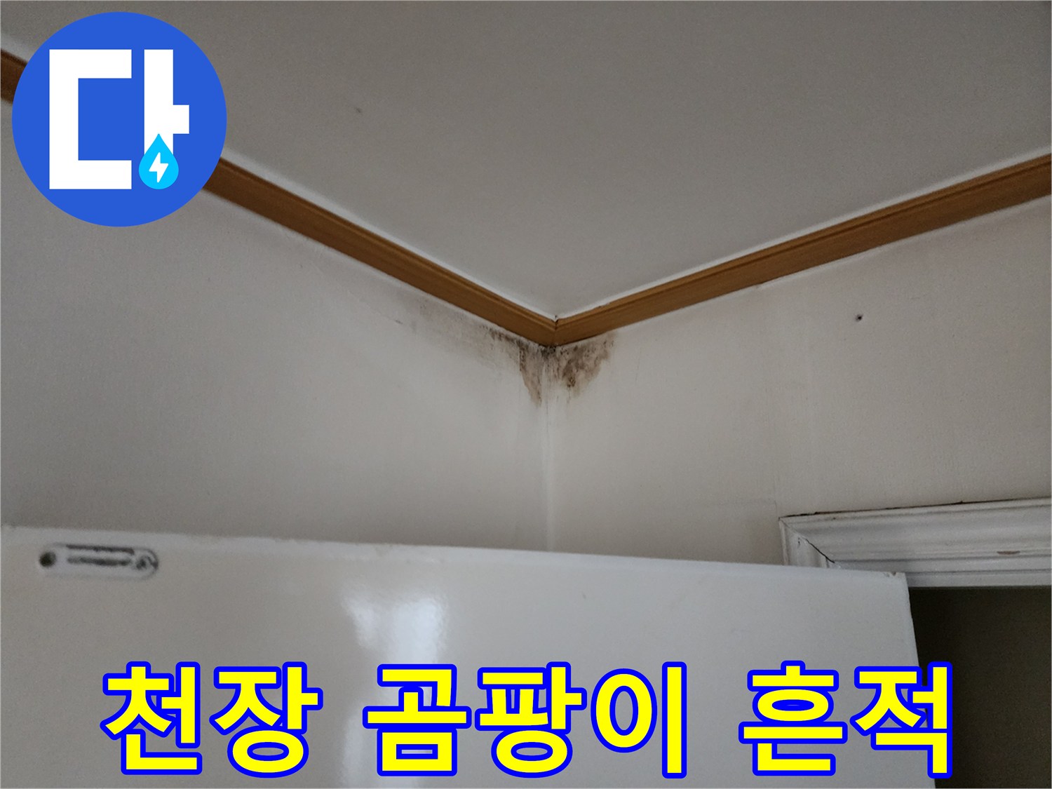 벽면 상단 모서리에 나타난 어두운 색의 곰팡이 자국