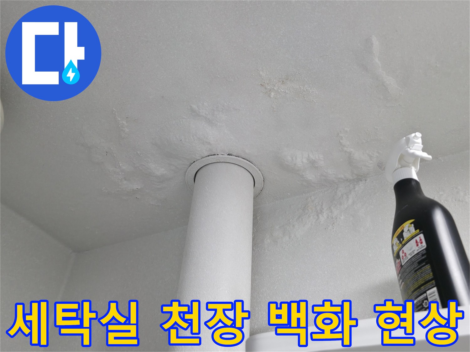 성동구-세탁실-천장-배관-주변-백화-현상-사진