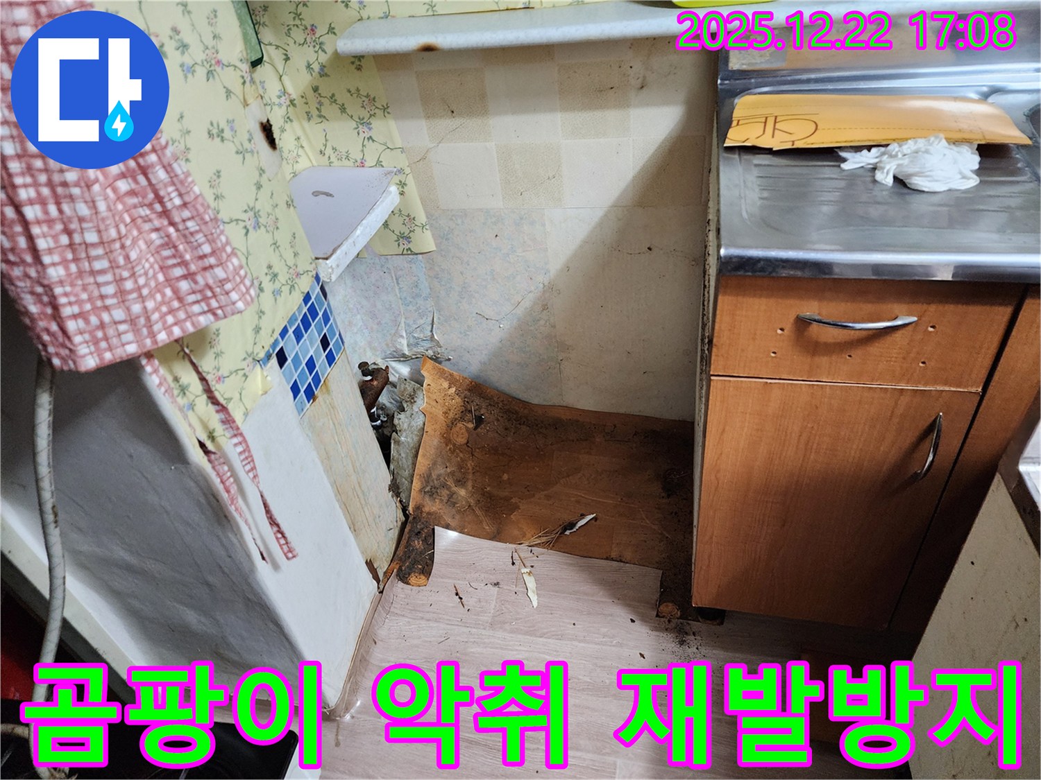 동두천 생연2동 누수 - 꼼꼼한 시공으로 곰팡이와 악취, 누수 재발을 확실하게 방지합니다 - 안심하고 맡겨주세요!