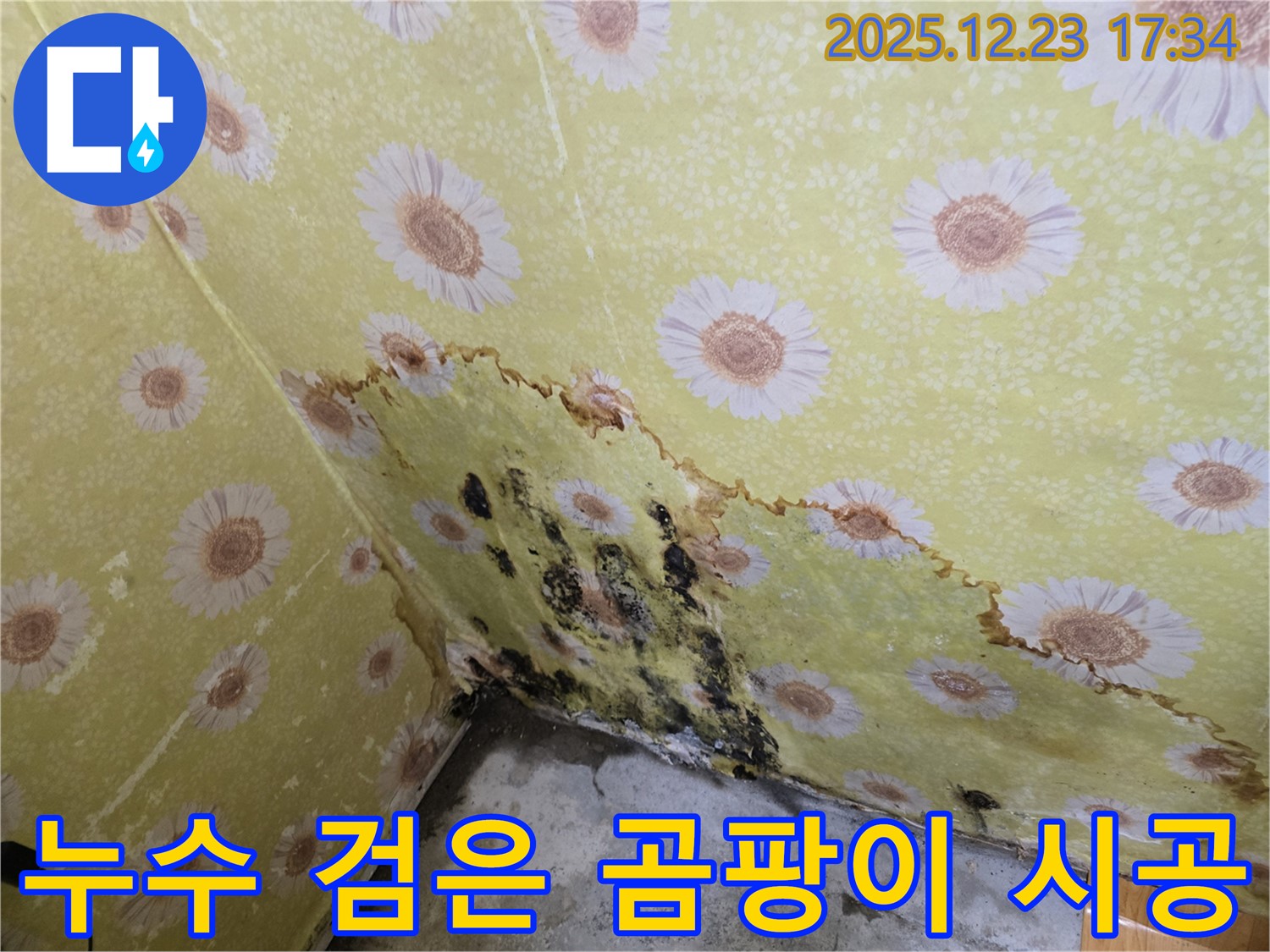 동두천 생연동 누수 및 검은 곰팡이 시공 - 원인 진단부터 완벽한 해결 과정