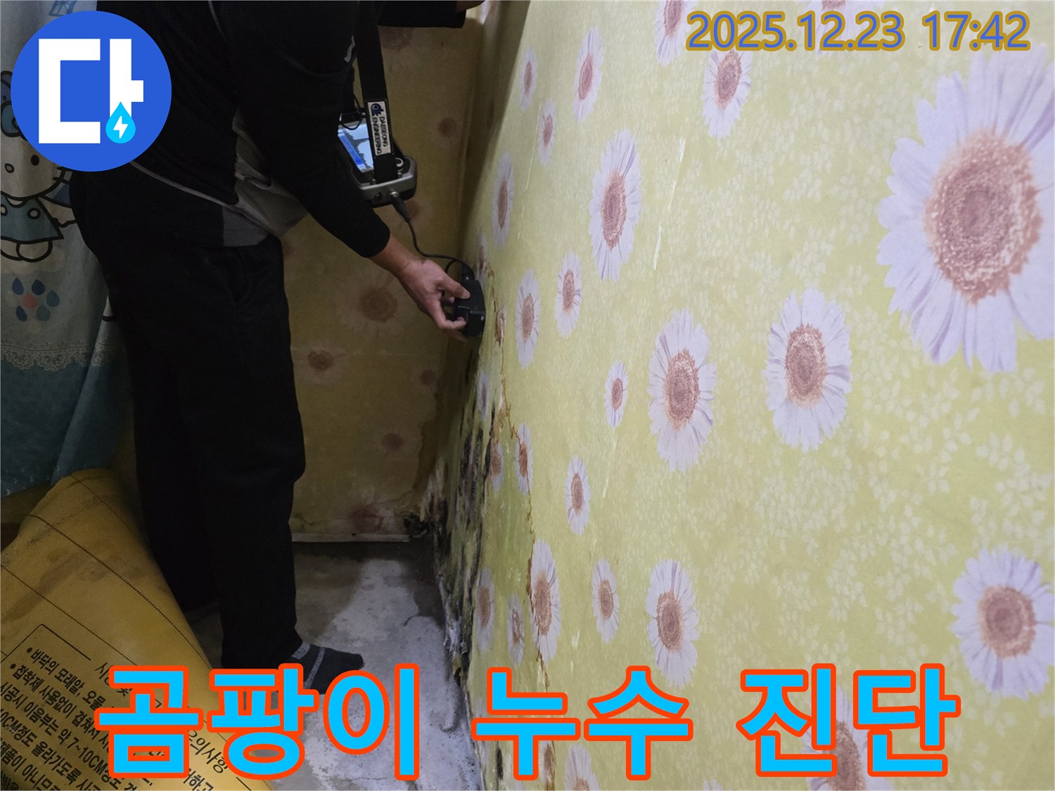 동두천 생연동 누수탐지 - 곰팡이 얼룩! 정밀 진단으로 확실하게 해결합니다.