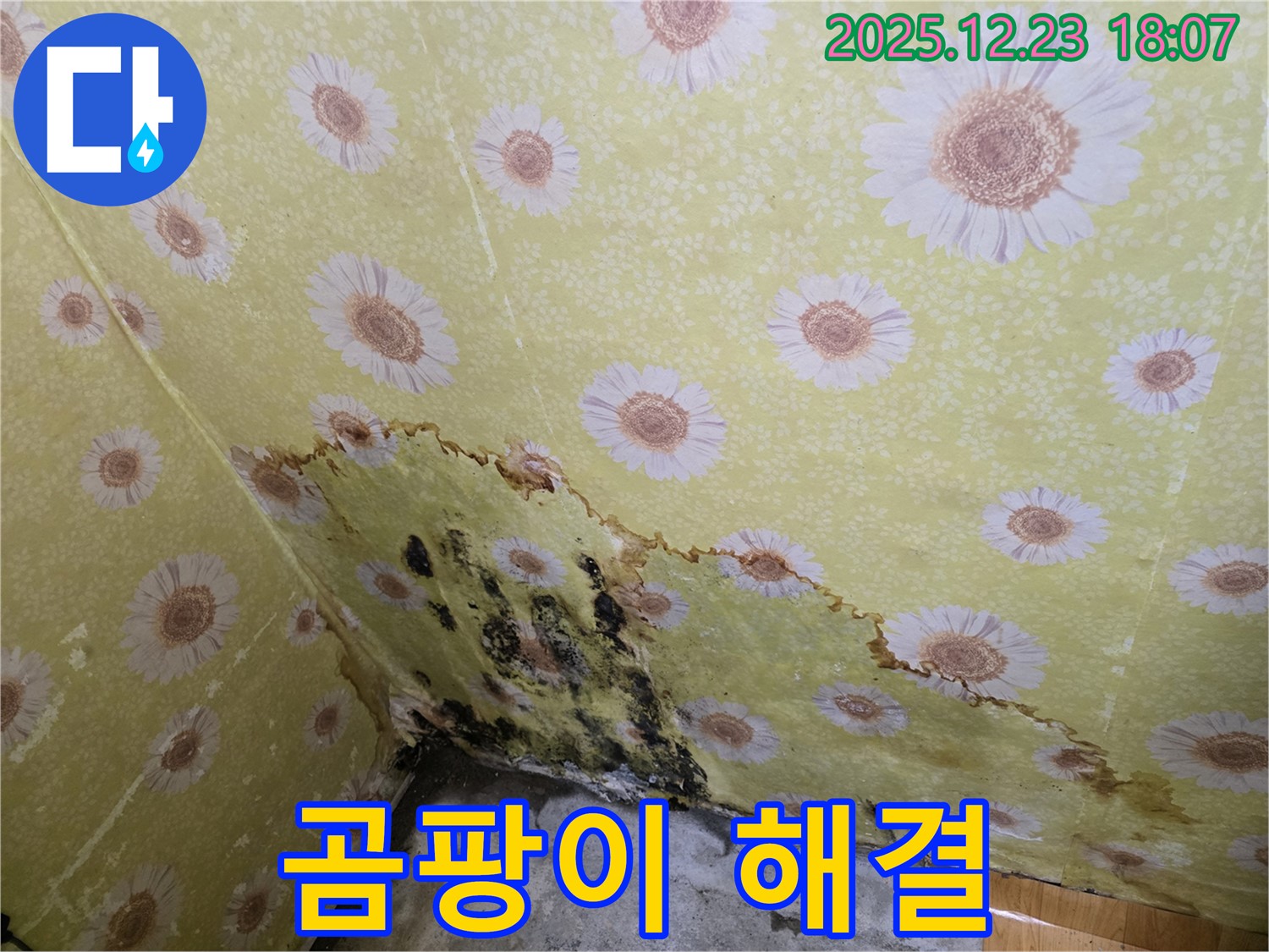 동두천 생연동 벽 누수 곰팡이 해결 - 쾌적하게 변화된 공간, 누수 해결 과정 상세 공개.