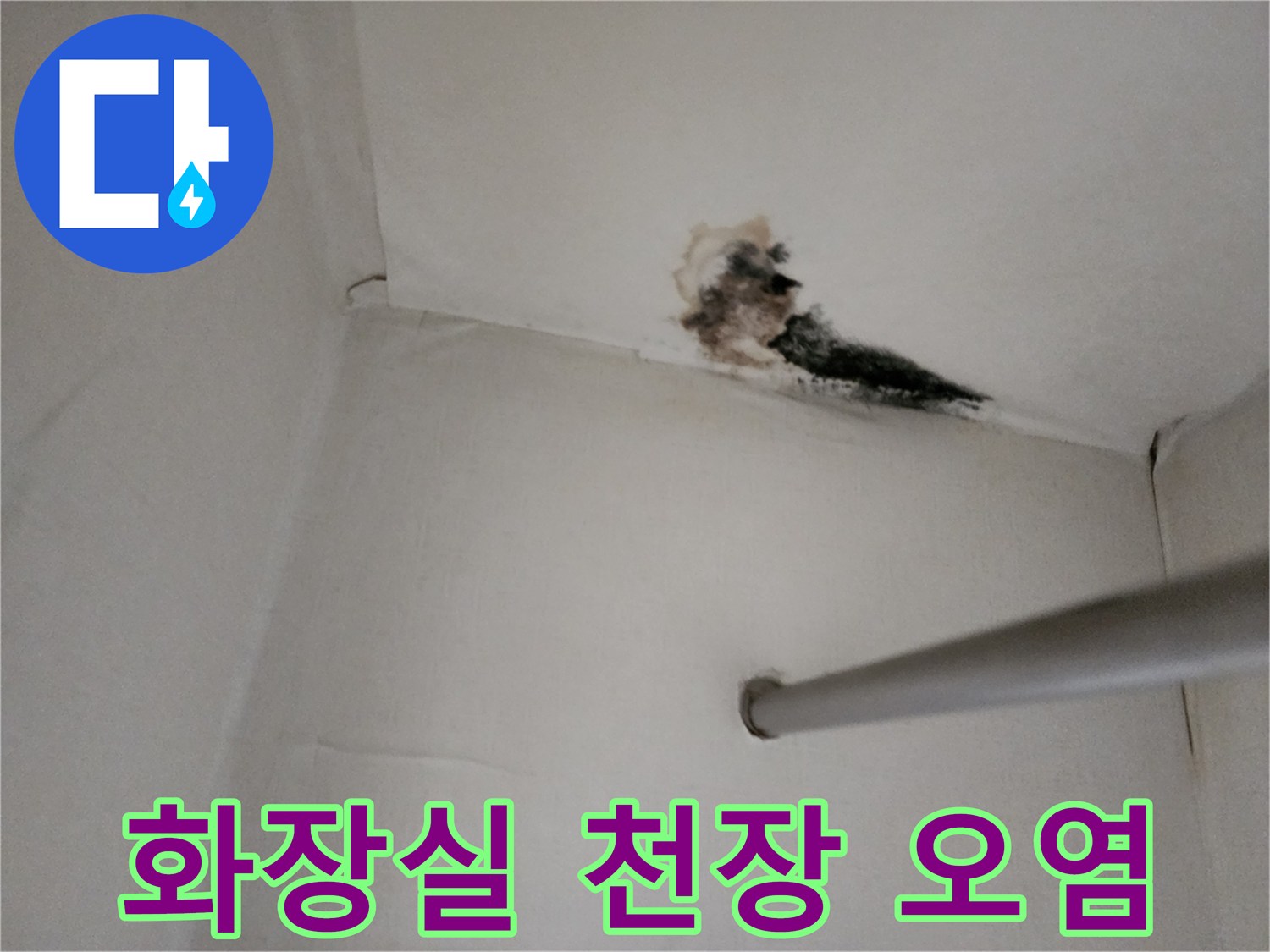 누수로 인해 변색된 천장 벽면과 곰팡이 부위