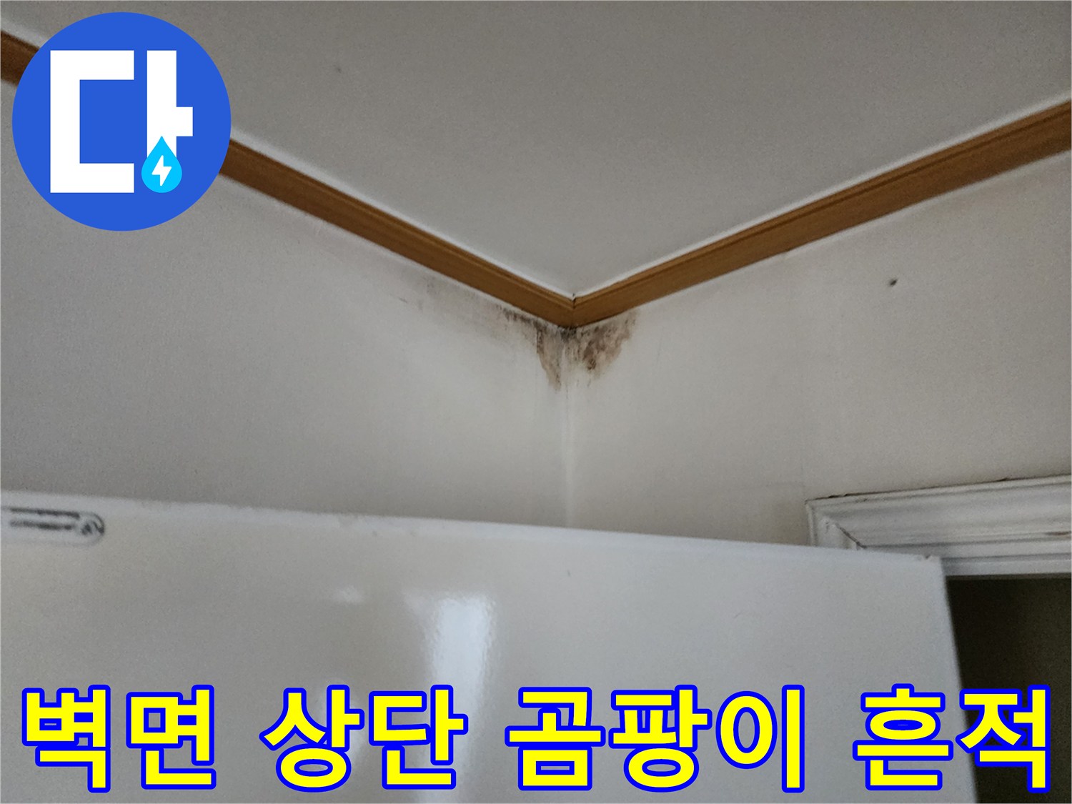 벽면과 천장의 경계-누수로 인해 발생한 곰팡이 오염 부위