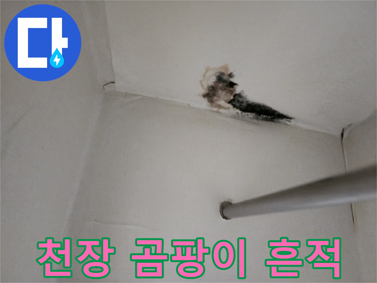 아랫집 천장 벽면-누수로 인한 심한 곰팡이와 오염 상태