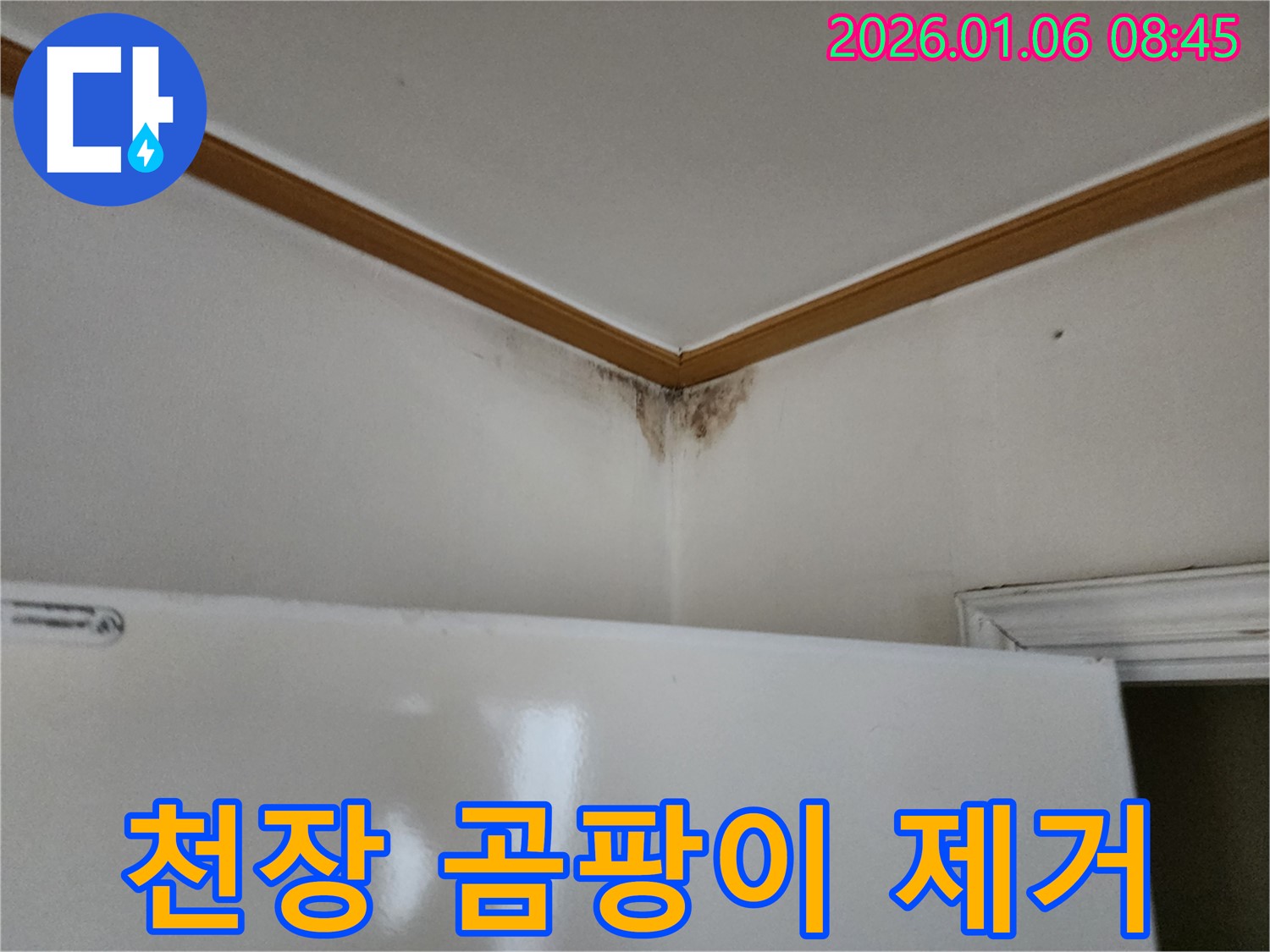 천장 곰팡이 제거 작업 - 깨끗한 환경을 만들어 드립니다.