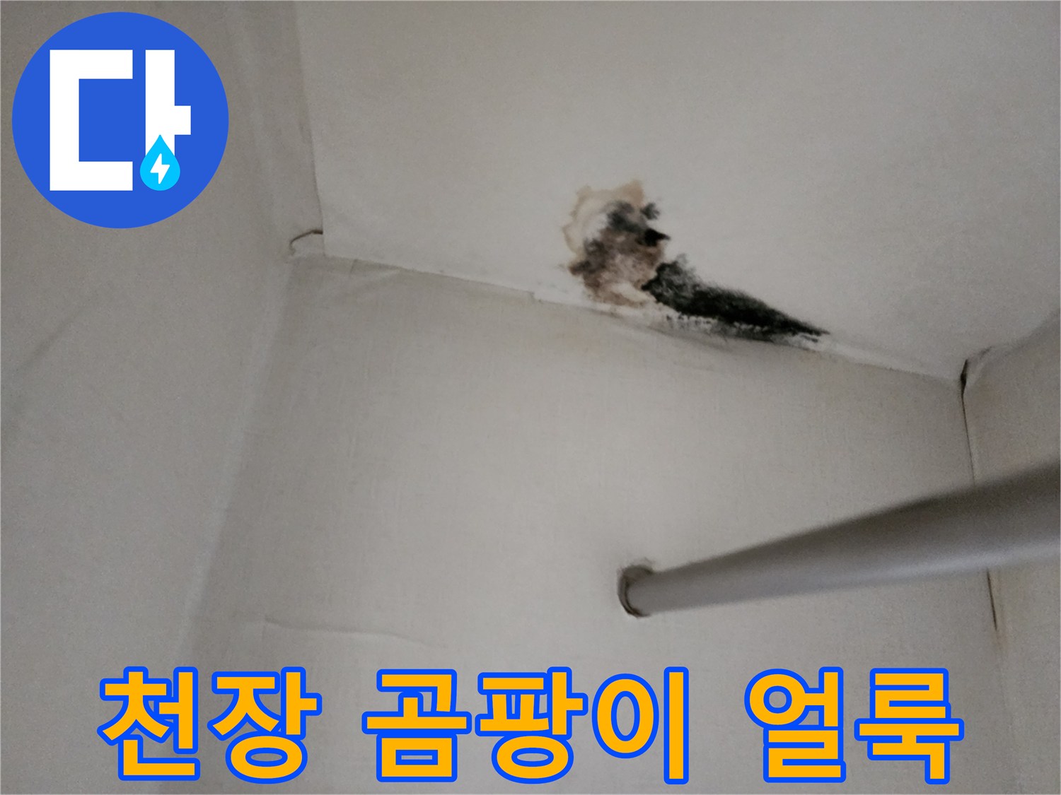 천장 마감재 경계-누수 피해로 발생한 검은 곰팡이와 습기 흔적