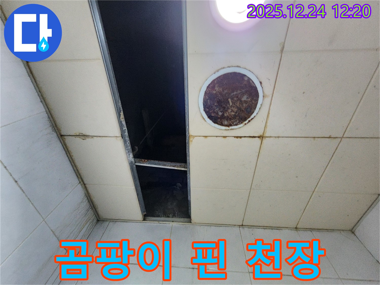 중계4동 곰팡이 핀 천장 - 누수로 인해 곰팡이가 심하게 핀 천장 사진입니다.