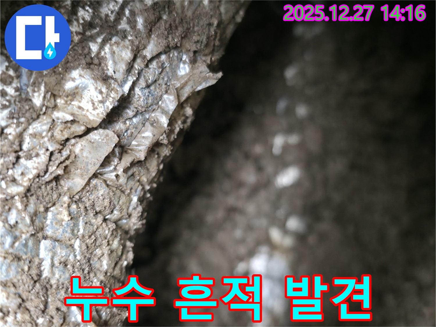 분당 서판교 누수 현장에서 누수 흔적을 발견했습니다 - 숙련된 기술로 숨겨진 누수까지 찾아 완벽하게 해결합니다.