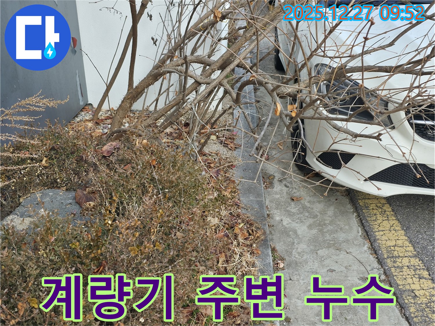 석운동 단독 주택가 마당 수도 계량기 주변 누수 의심 - 꼼꼼한 점검으로 누수 원인을 찾아 해결합니다.