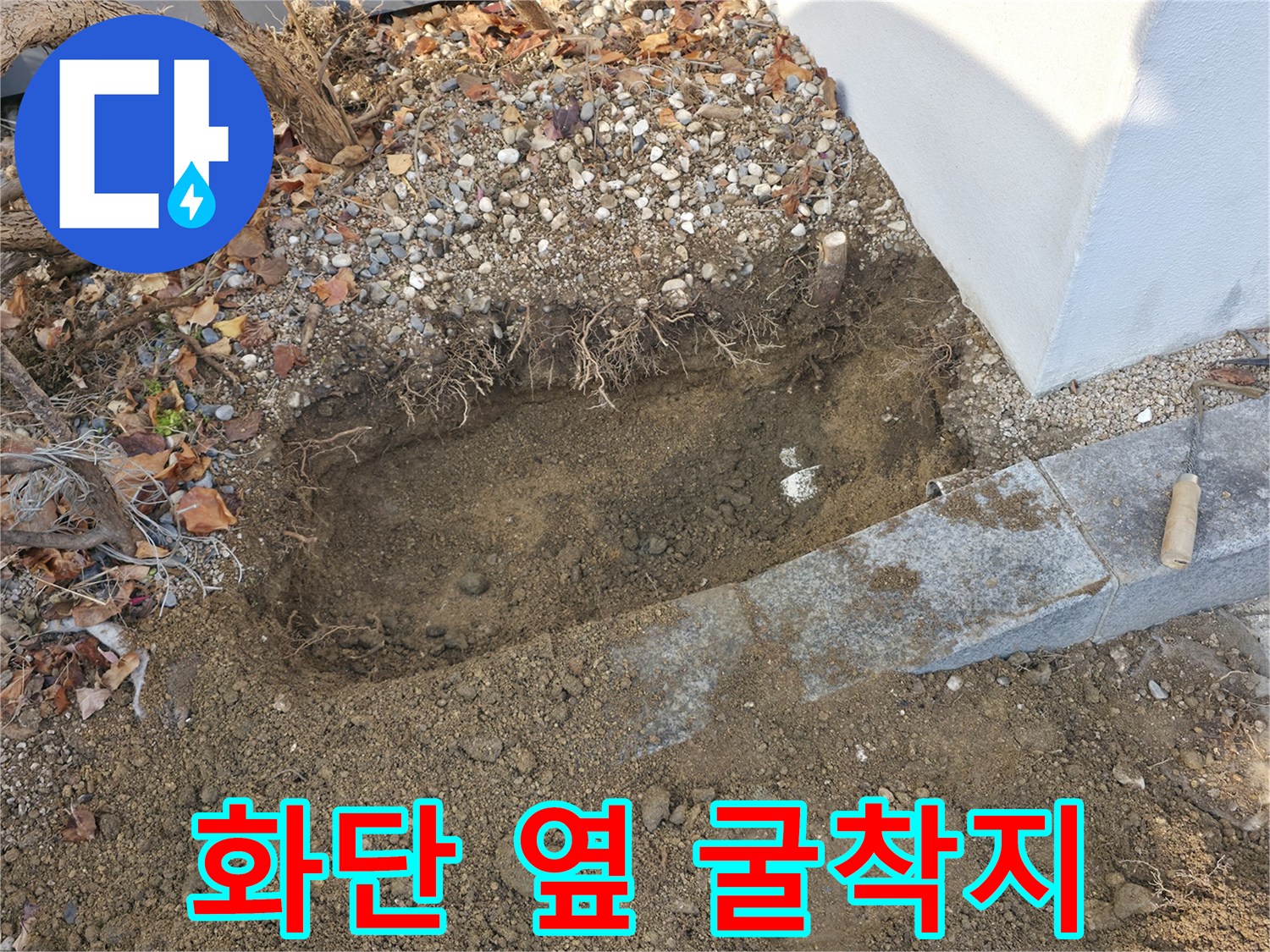 흙과 나무뿌리 사이 - 누수 배관을 찾기 위해 파낸 지점