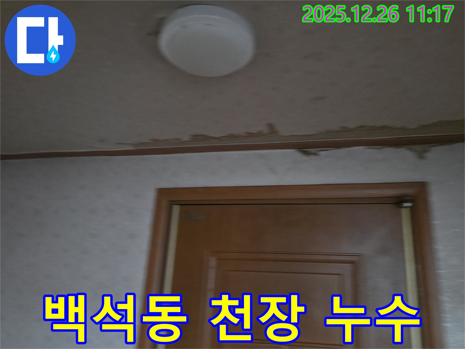 백석동 천장 누수 - 누수탐지부터 완벽한 공사까지 책임지는 누수 전문 업체