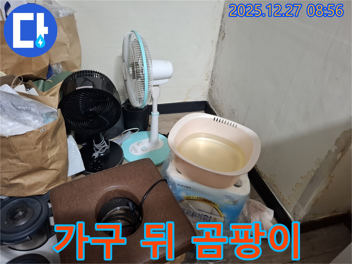 송파구 삼전동 누수 현장 - 가구 뒤 곰팡이 - 숨어있는 곰팡이까지 싹! - 꼼꼼한 시공.