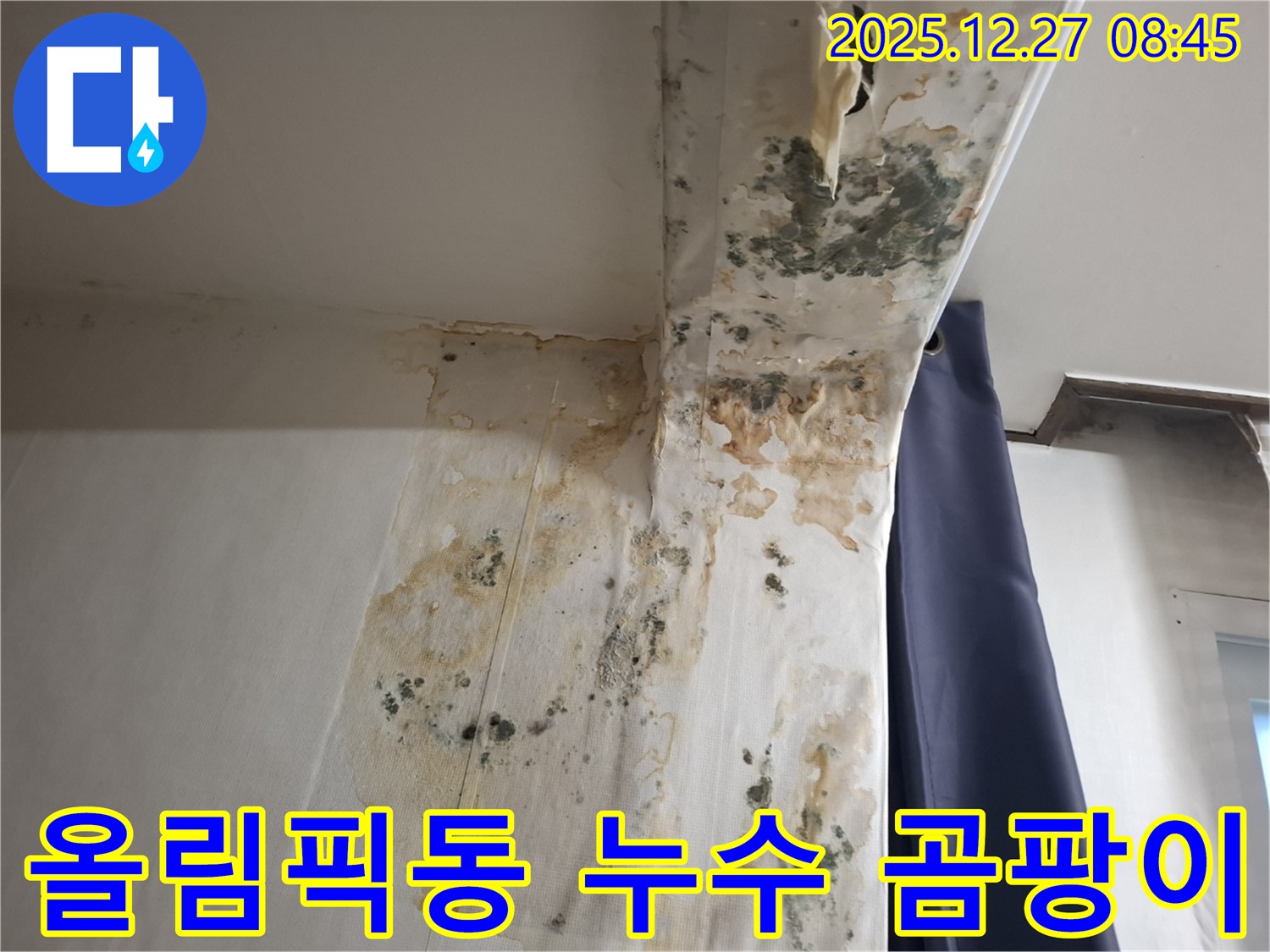 올림픽동 누수 현장 - 곰팡이로 얼룩진 벽면, 누수탐지 전문가의 긴급 진단