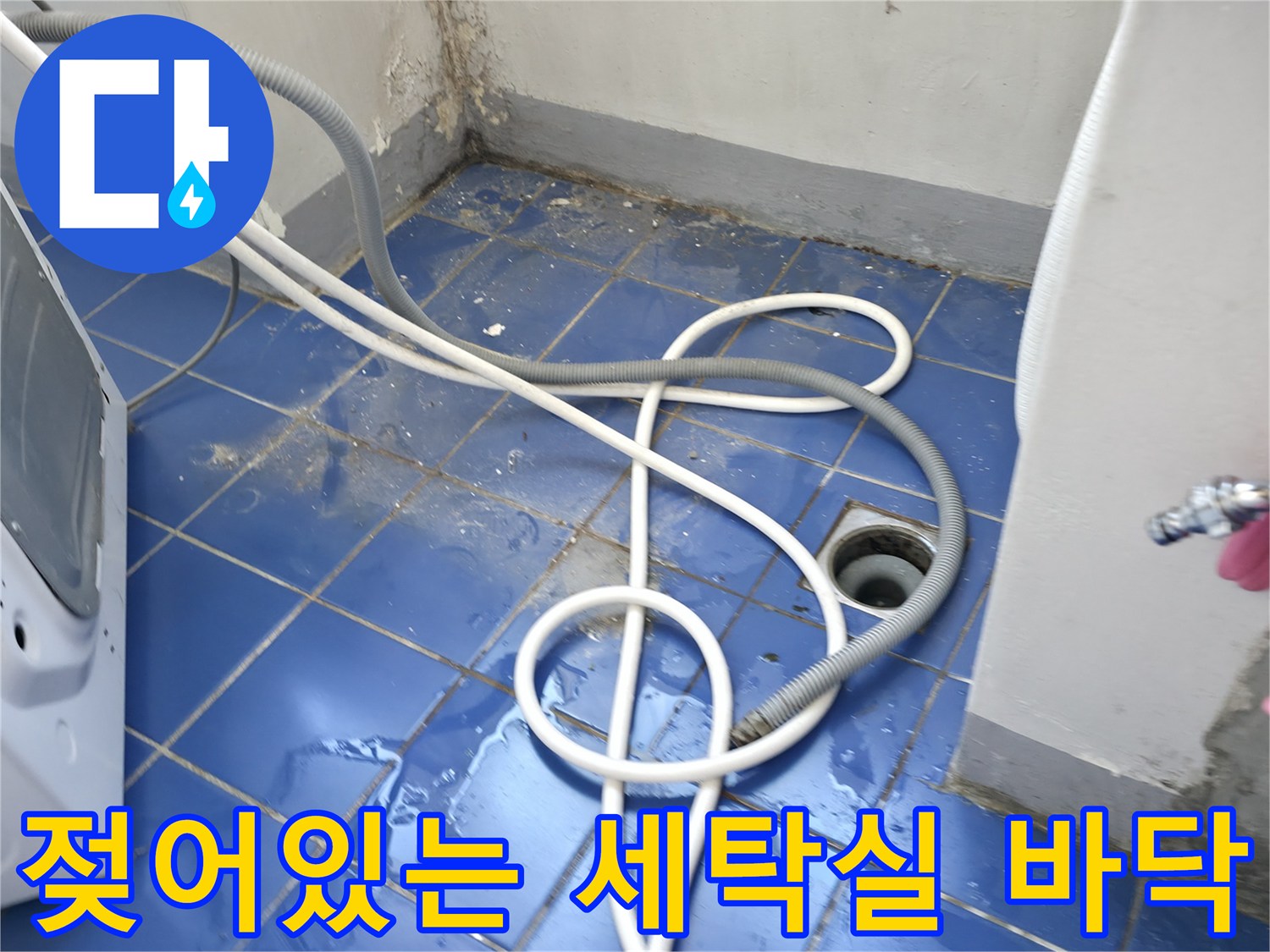 배수구 근처 타일 틈새로 물이 고여 있는 세탁실 현장 사진