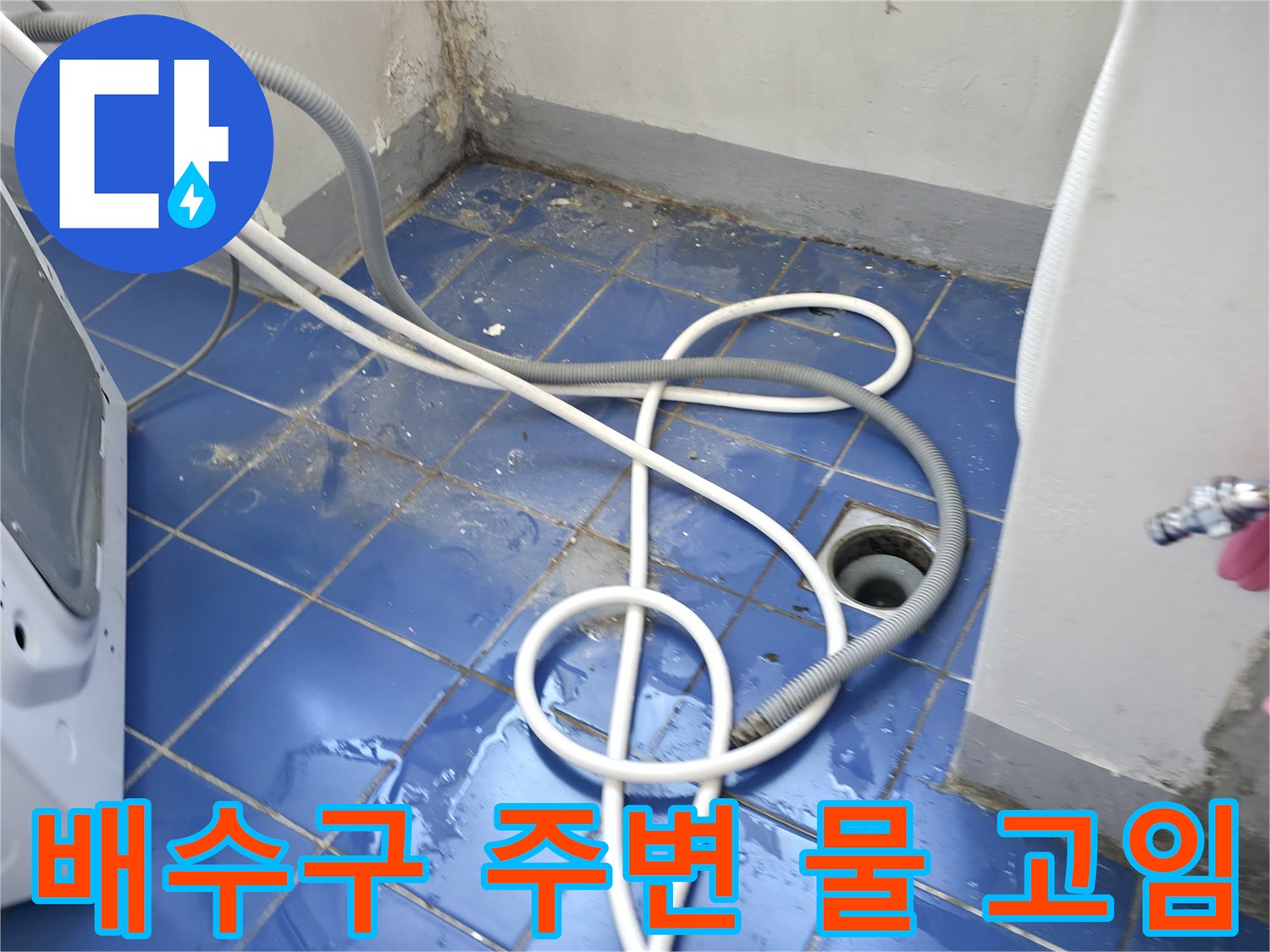 세탁실-배수구-유가-주변-물고임-현상-사진