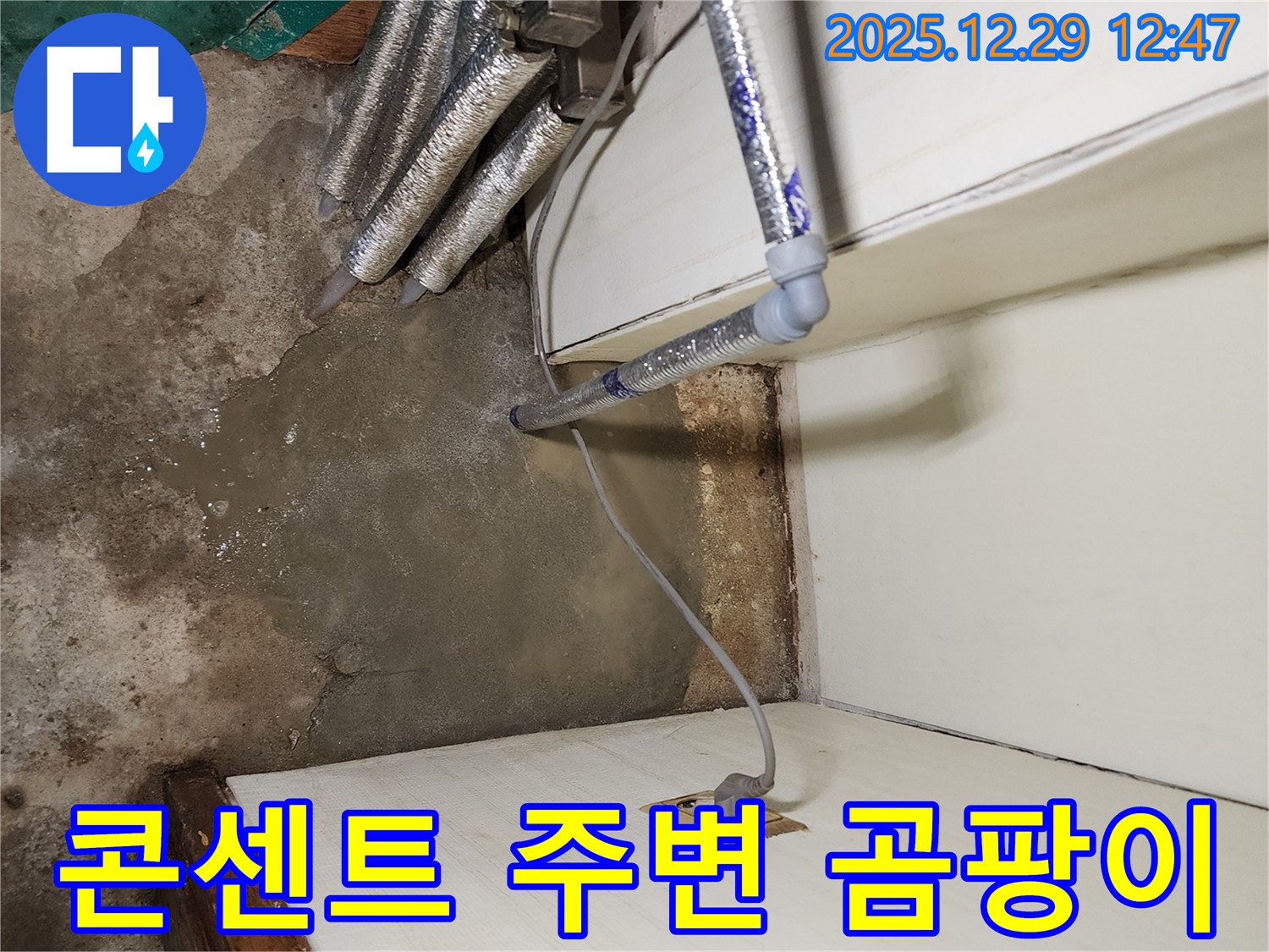 노원구 상계2동 - 콘센트 주변 곰팡이, 누수 확인 필수