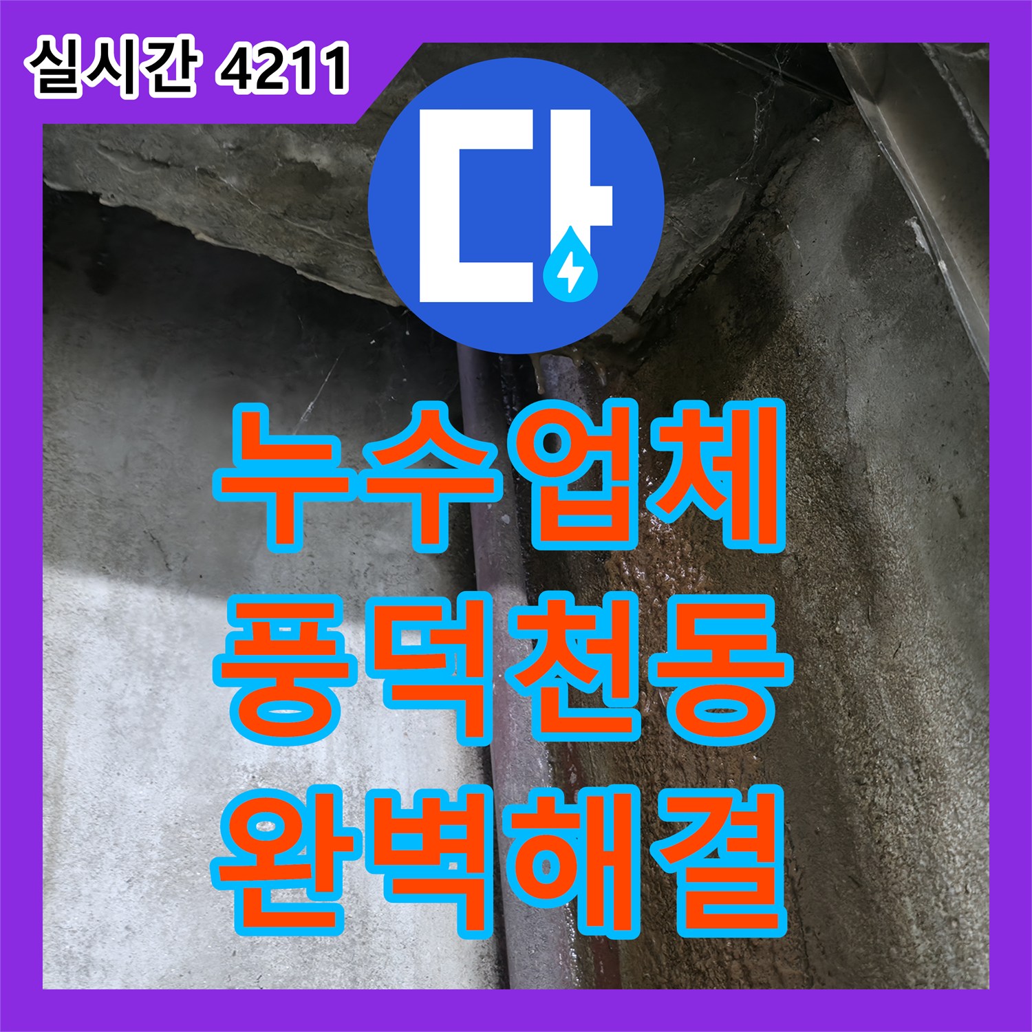 누수업체, 용인 수지 풍덕천동 벽면 누수와 곰팡이 문제의 완벽한 해결