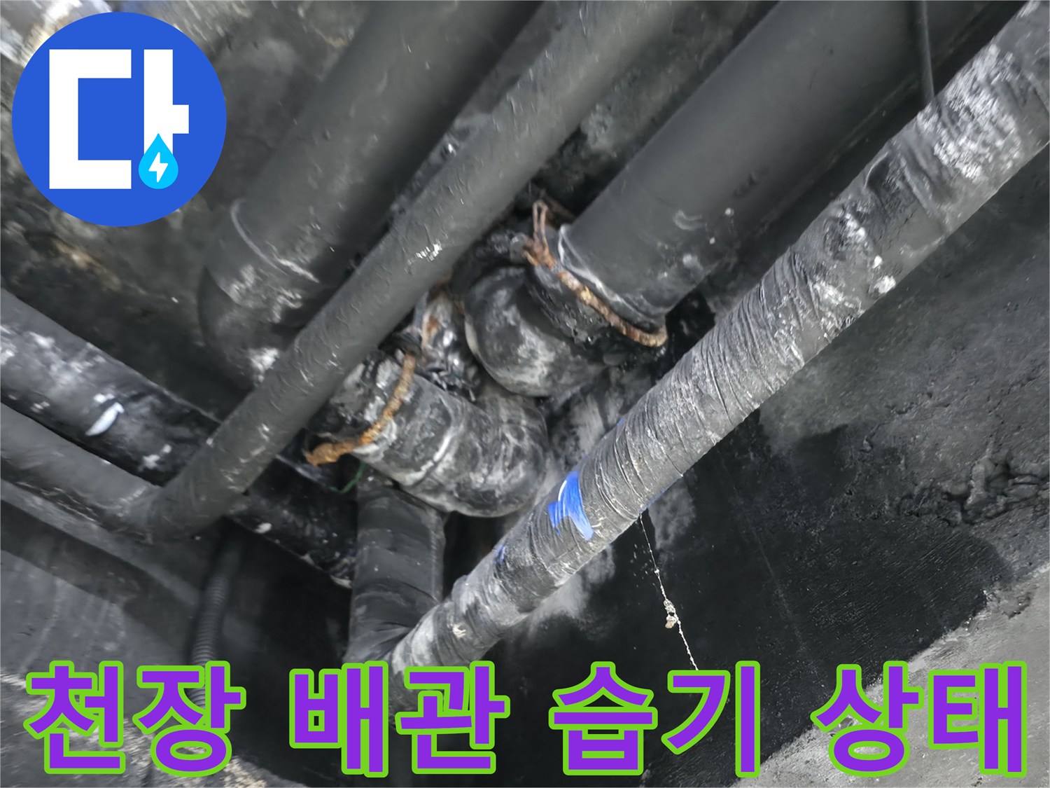 지하 천장 배관 주변의 물샘 흔적과 젖은 벽면