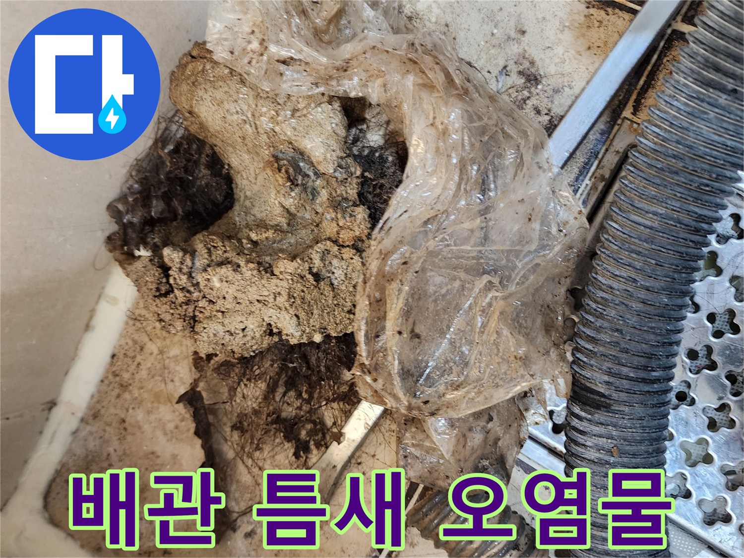 배수구 내부의 머리카락과 이물질 덩기리