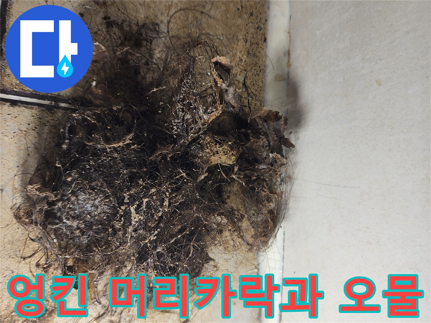 배수구-주변의-오염된-이물질-및-머리카락-뭉치