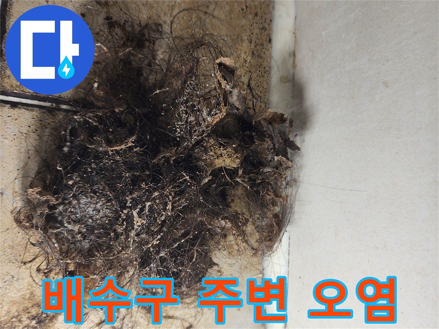 배수구-틈새에-낀-머리카락과-오염물질