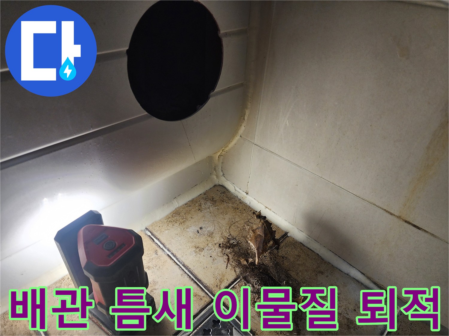 욕실-배수구-주변에-엉겨붙은-머리카락과-오염물