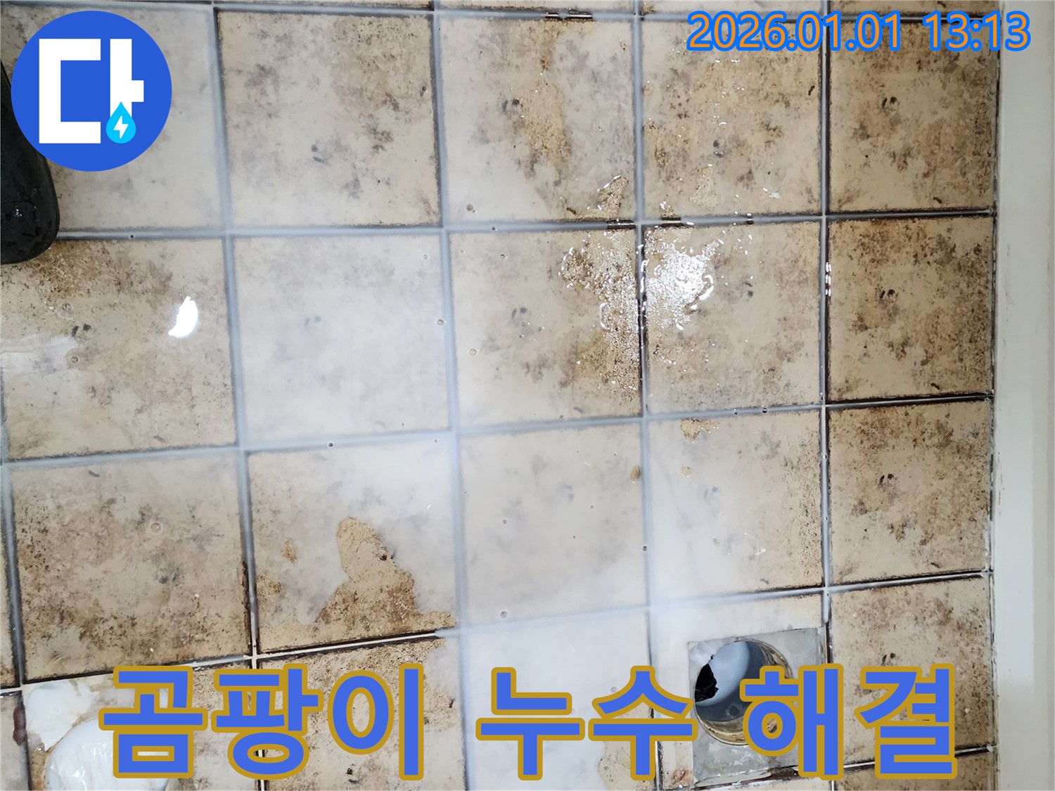 일산 누수 탐지 - 베란다 곰팡이 누수 문제, 완벽하게 해결하여 쾌적한 공간으로!