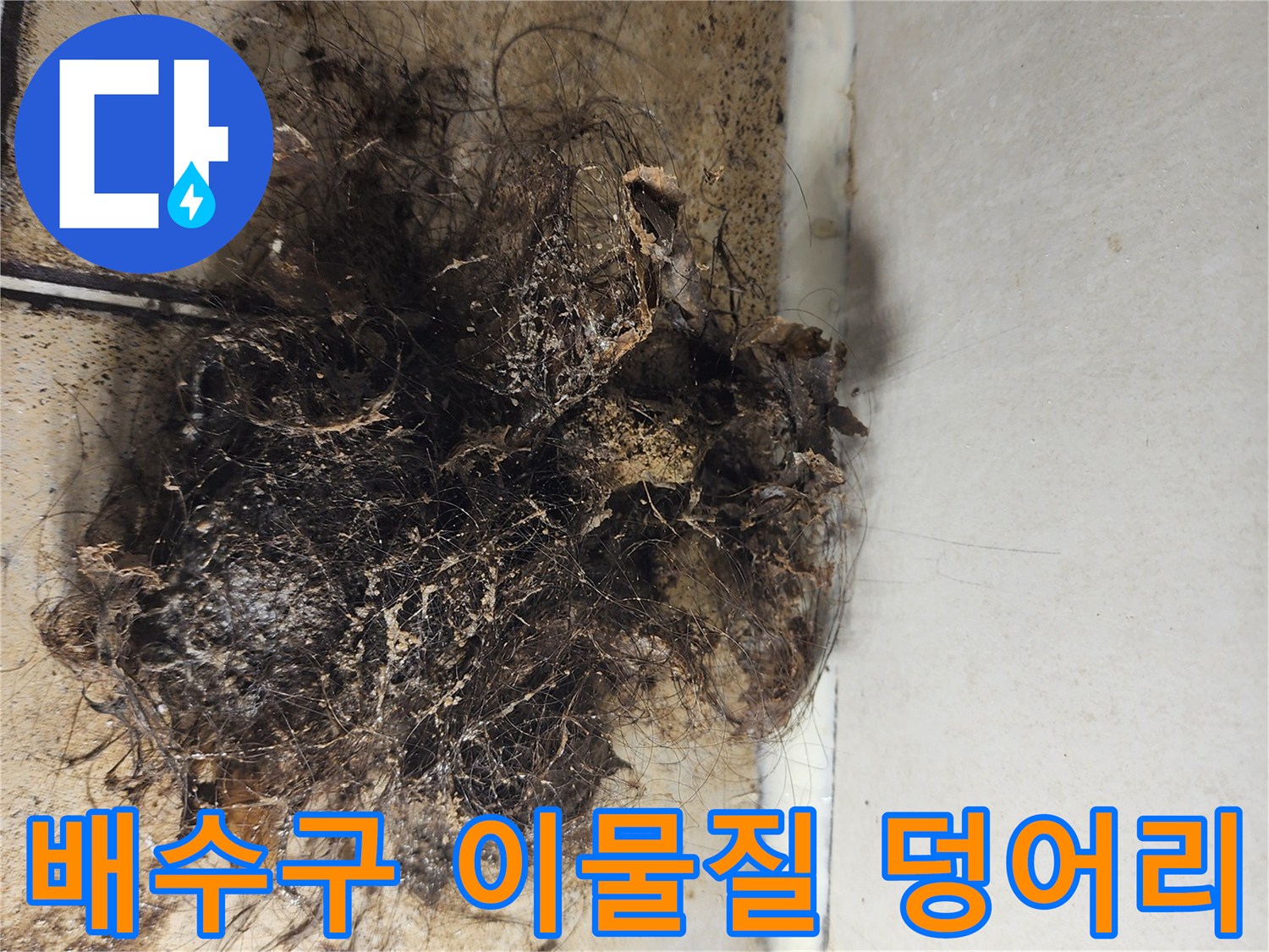 화장실 배수구 주변에 머리카락과 오염물이 뒤엉킨 모습입니다.