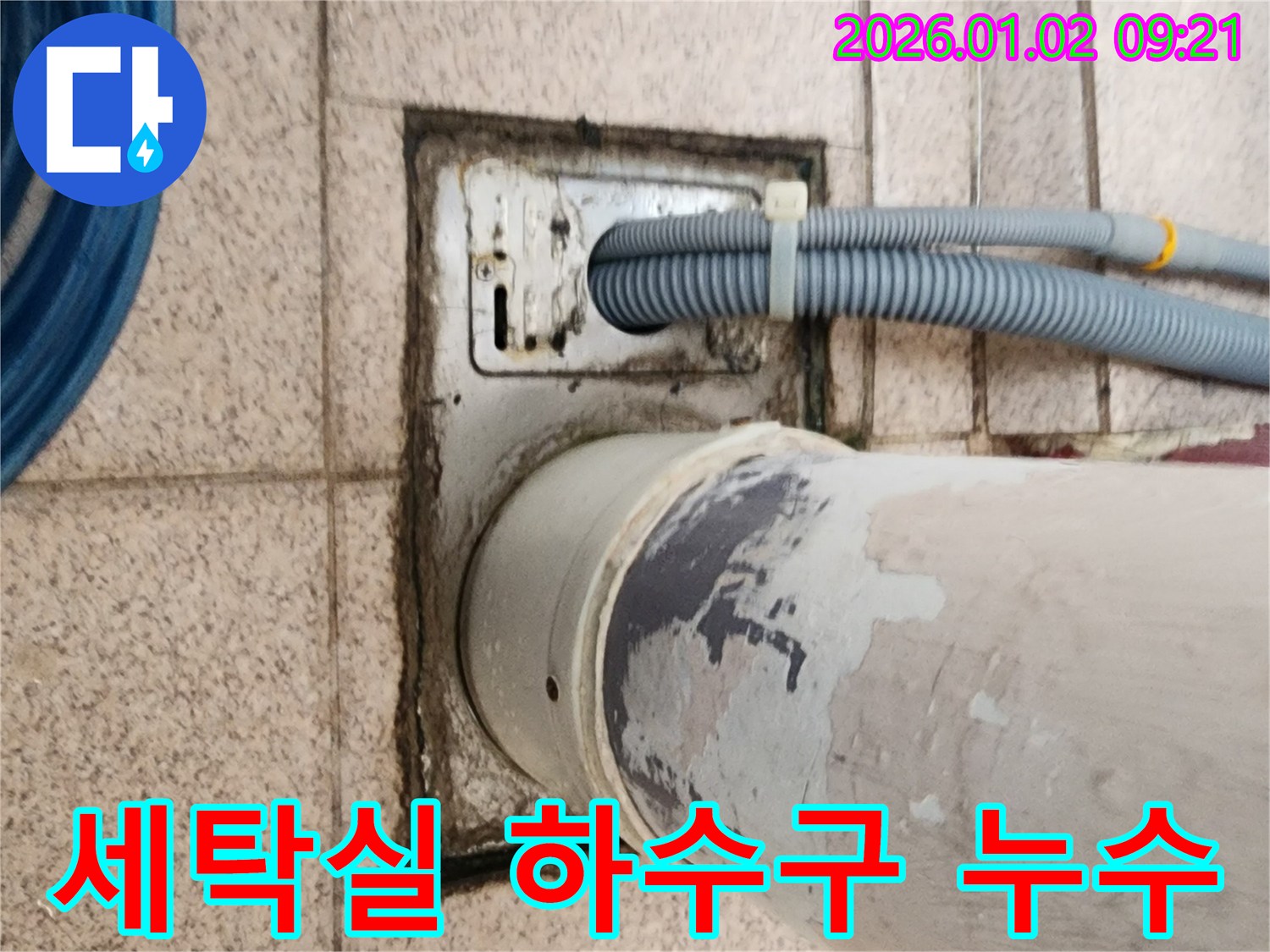 노원구 상계9동 세탁실 하수구 누수 - 전문 장비를 이용한 정확한 누수 지점 탐지와 신속한 보수