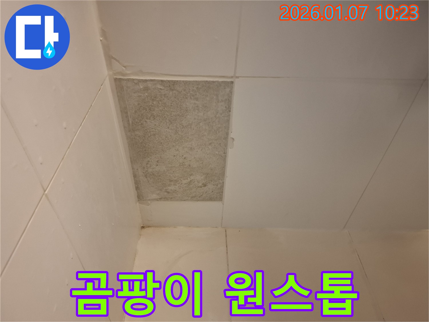 용인시 모현읍 54번길 - 곰팡이 핀 타일 문제, 누수 탐지부터 시공까지 원스톱으로 해결!
