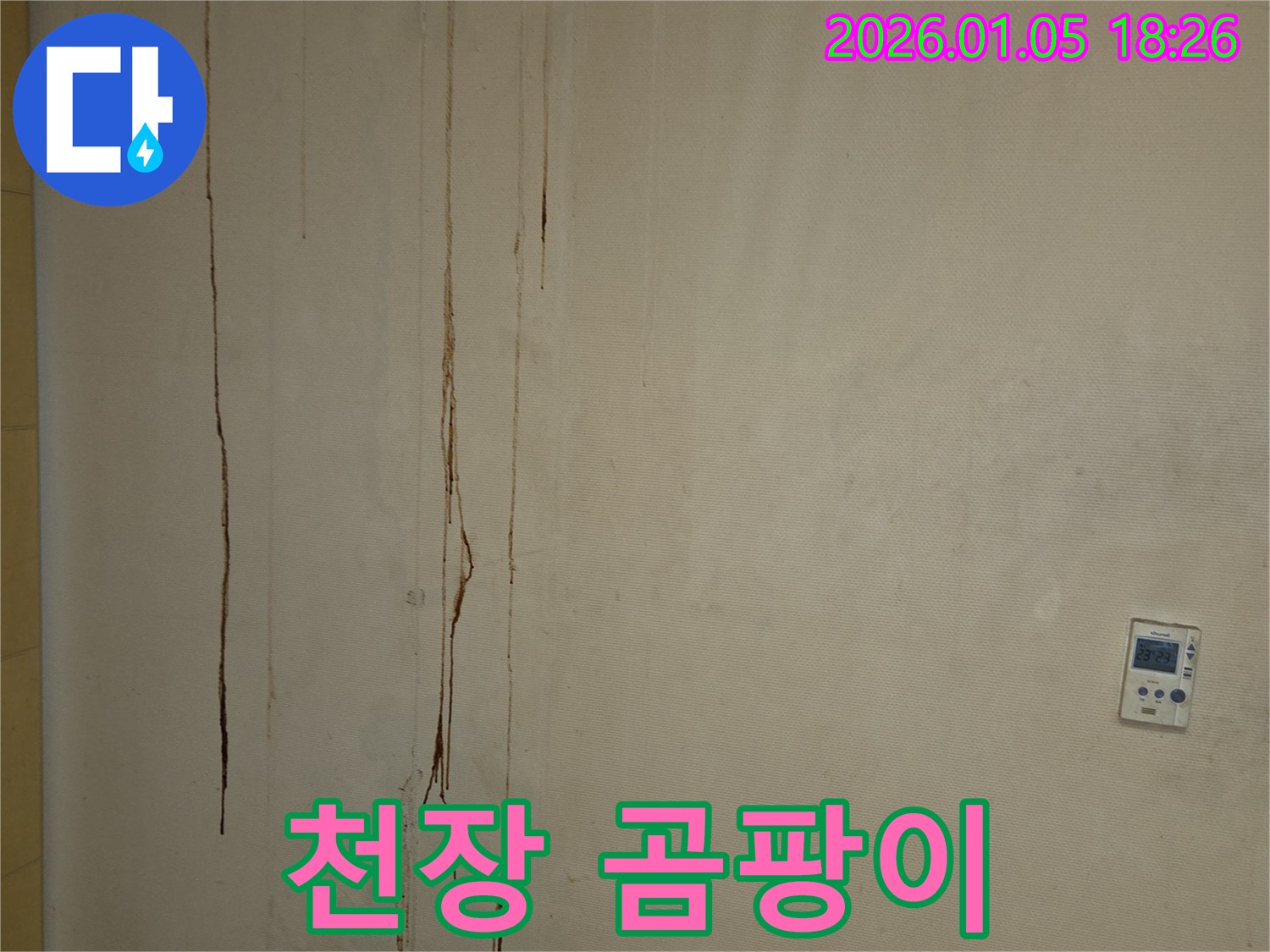 사릉로 천장 곰팡이 - 누수탐지 전문가가 누수 원인을 찾아 곰팡이 문제까지 해결합니다.