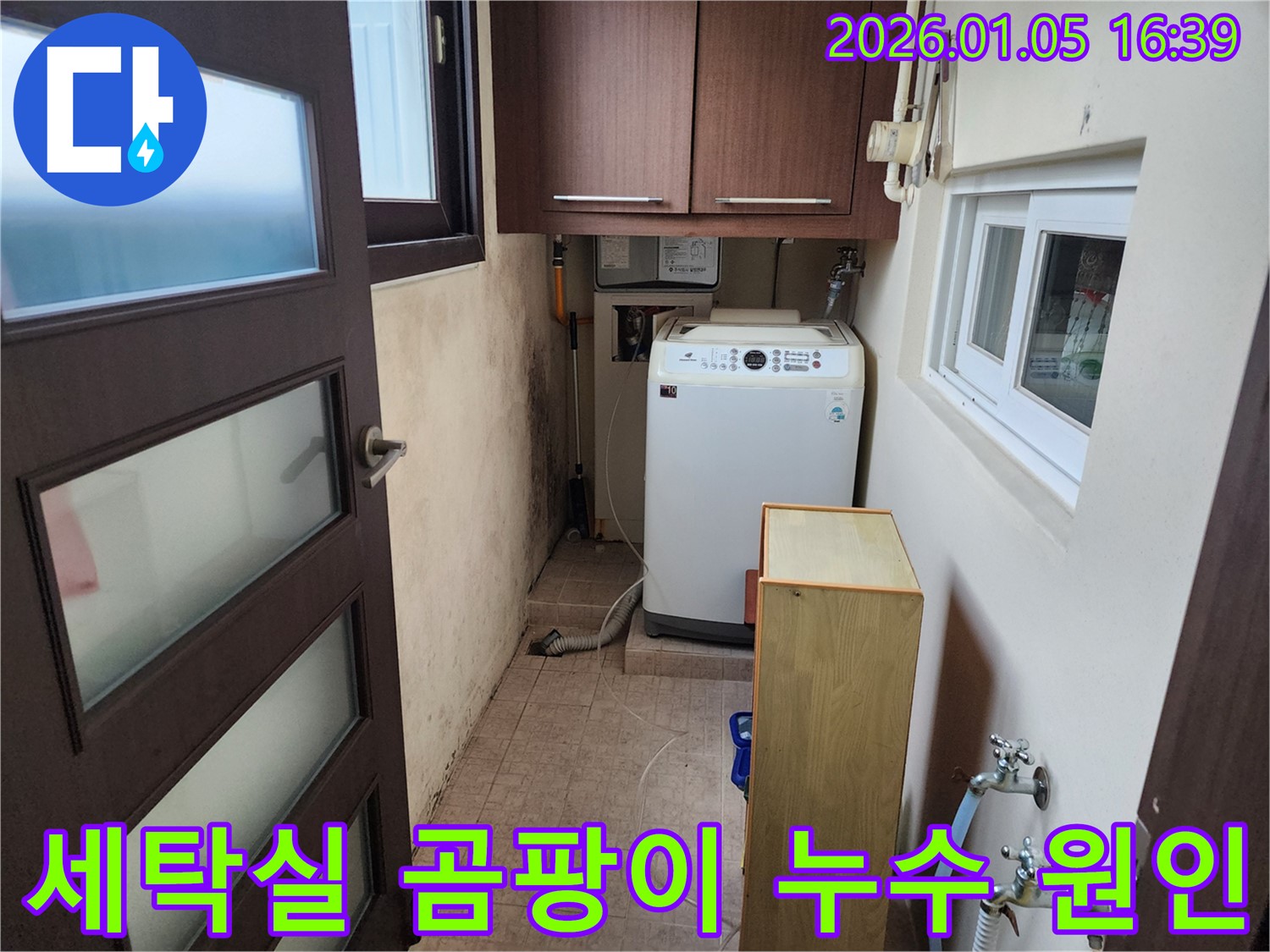 세탁실 곰팡이는 누수와 함께 발생할 가능성이 높습니다 - 누수 원인부터 해결해야 곰팡이 재발을 막을 수 있습니다.