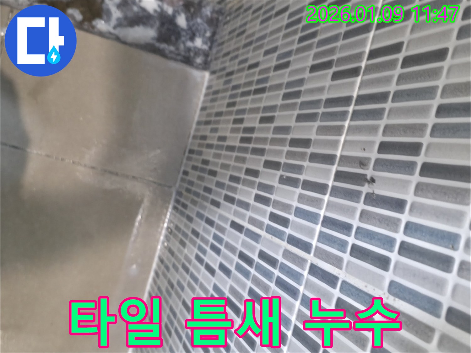 하남 유니온로 욕실 타일 틈새 누수 - 원인 진단부터 완벽 해결 책임