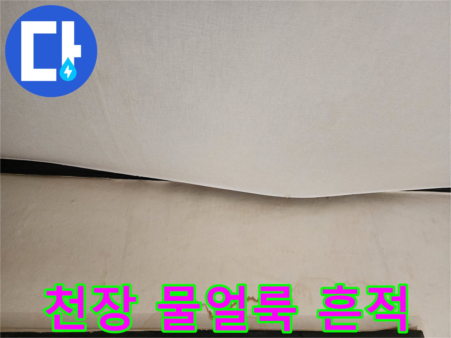 아랫집 현관-천장 부분에 발생한 넓은 물얼룩과 변색된 상태