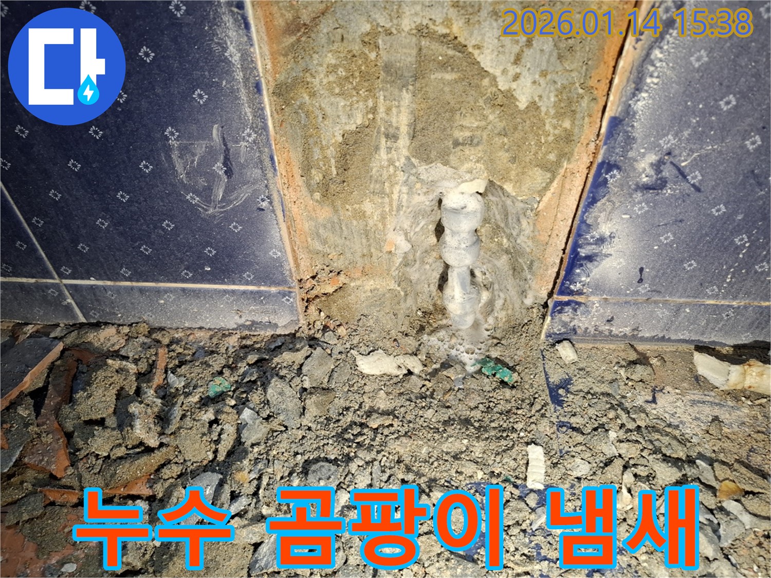 황고개로 누수 - 누수와 함께 심한 곰팡이 냄새, 건강 위협