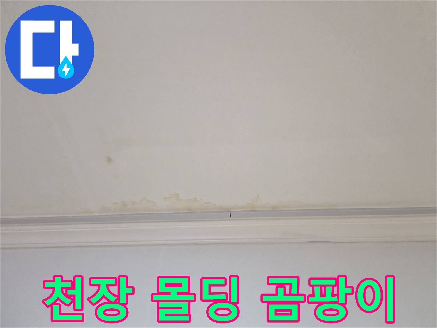 어린이집-천장-몰딩-부근의-곰팡이와-물자국-상태